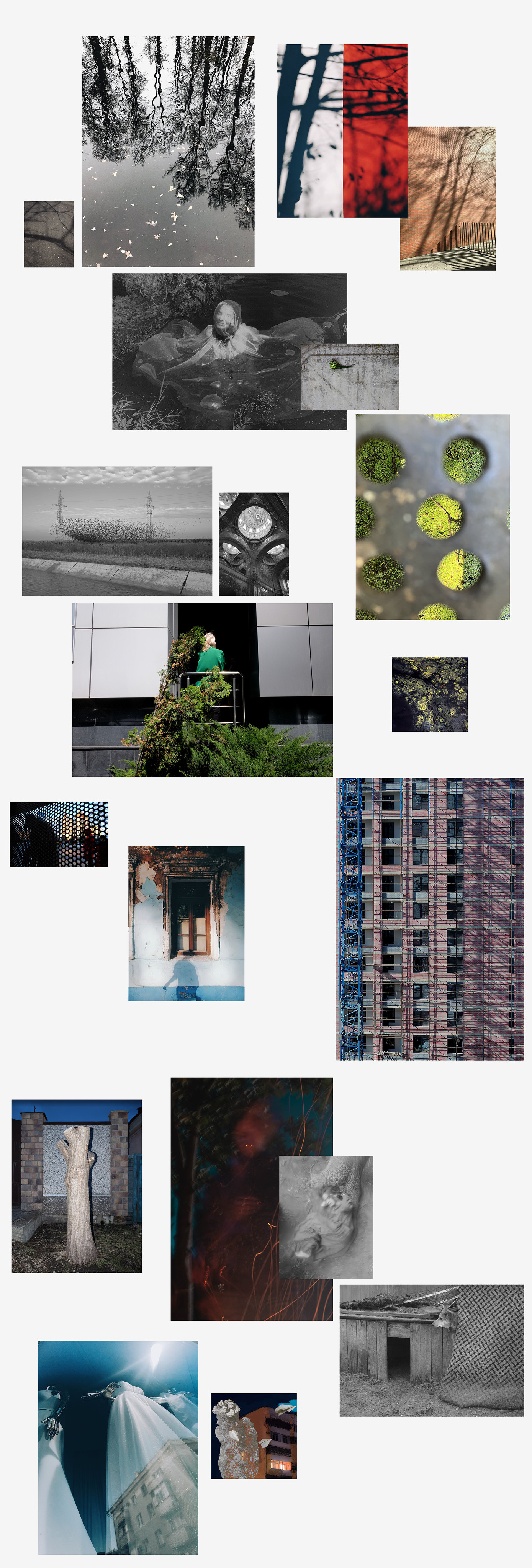 Трансформация. Фотограф Ольга Кардашова