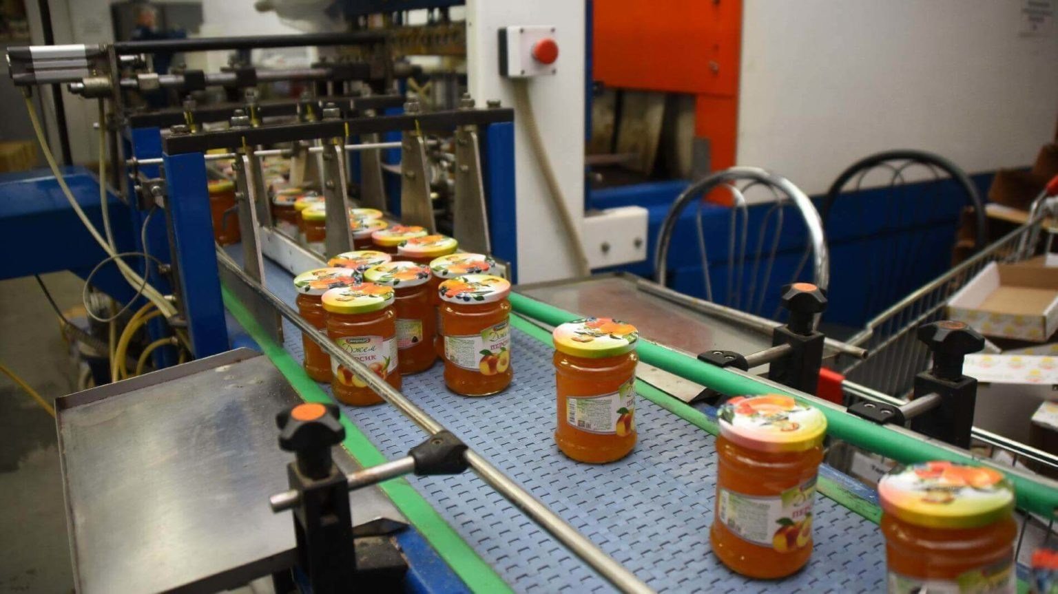 Пищевое производство консерв. Инвестиционный консалтинг Недвижимость