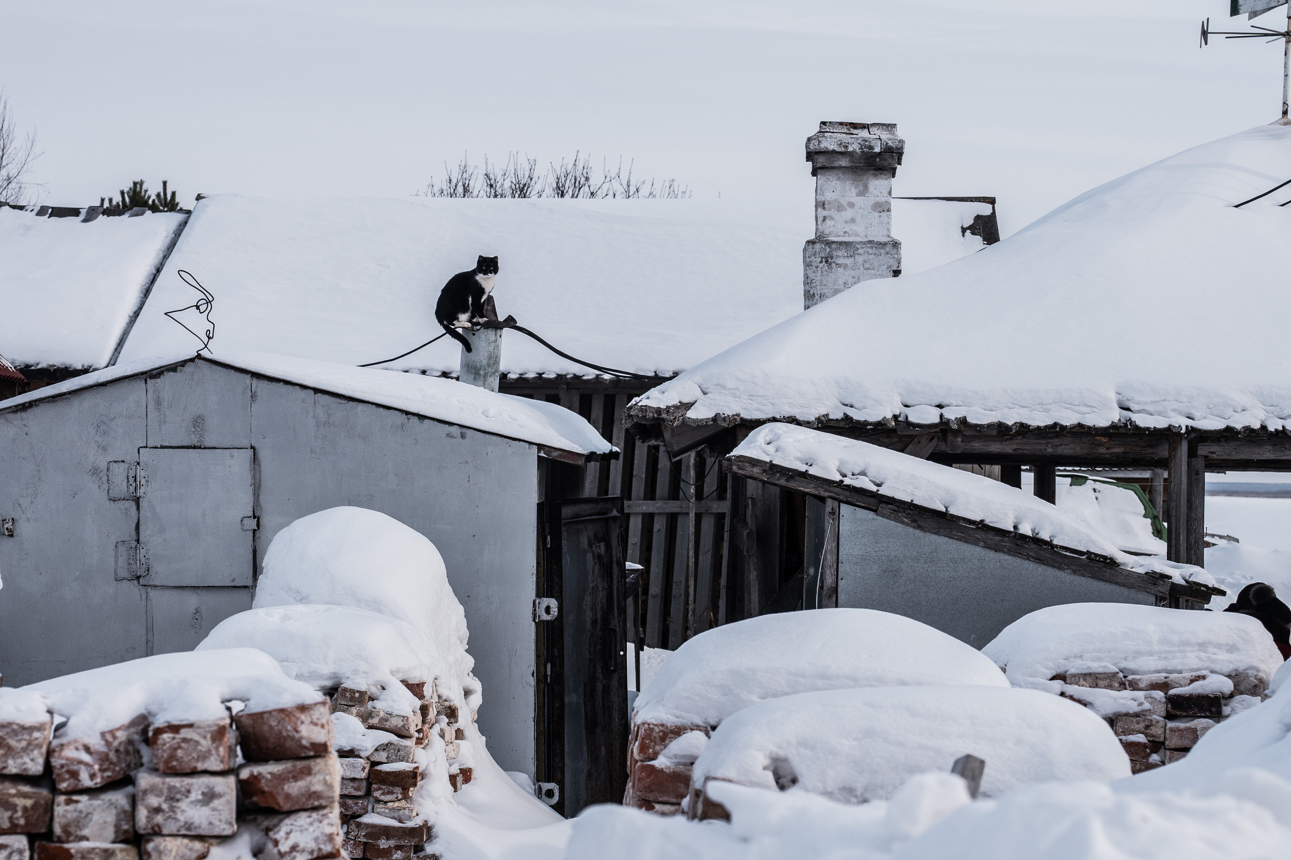 Остров единения. Event фотограф Степанова Александра
