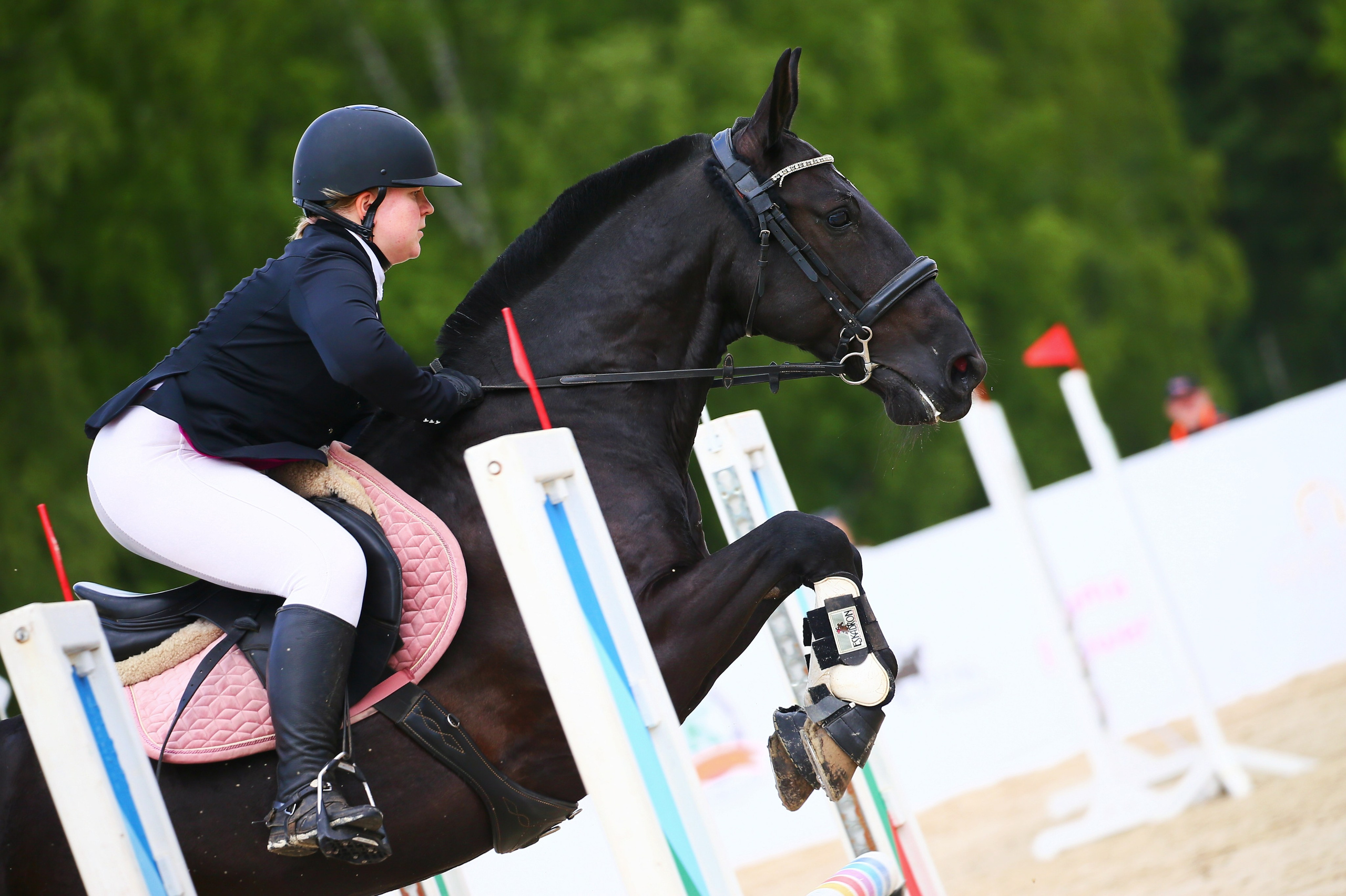 Купить фотографии с турниров. KatymartArt — Equine photography