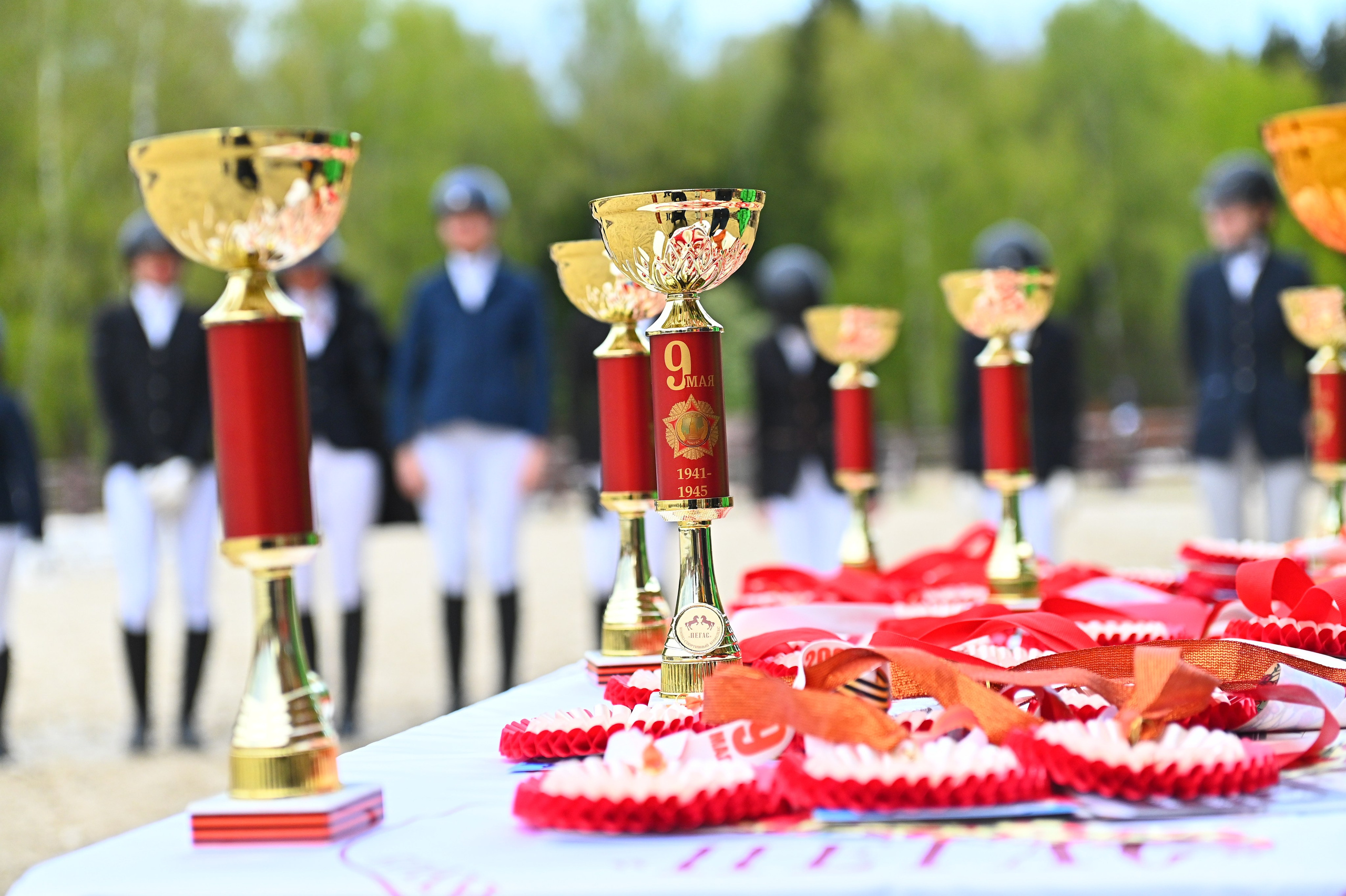 2025.05.10 — Кубок КСК Пегас по выездке, посв. Дню Победы. ТУРНИРНАЯ КОННАЯ ФОТОГРАФИЯ, Руднева Ольга и Евгений Адеев