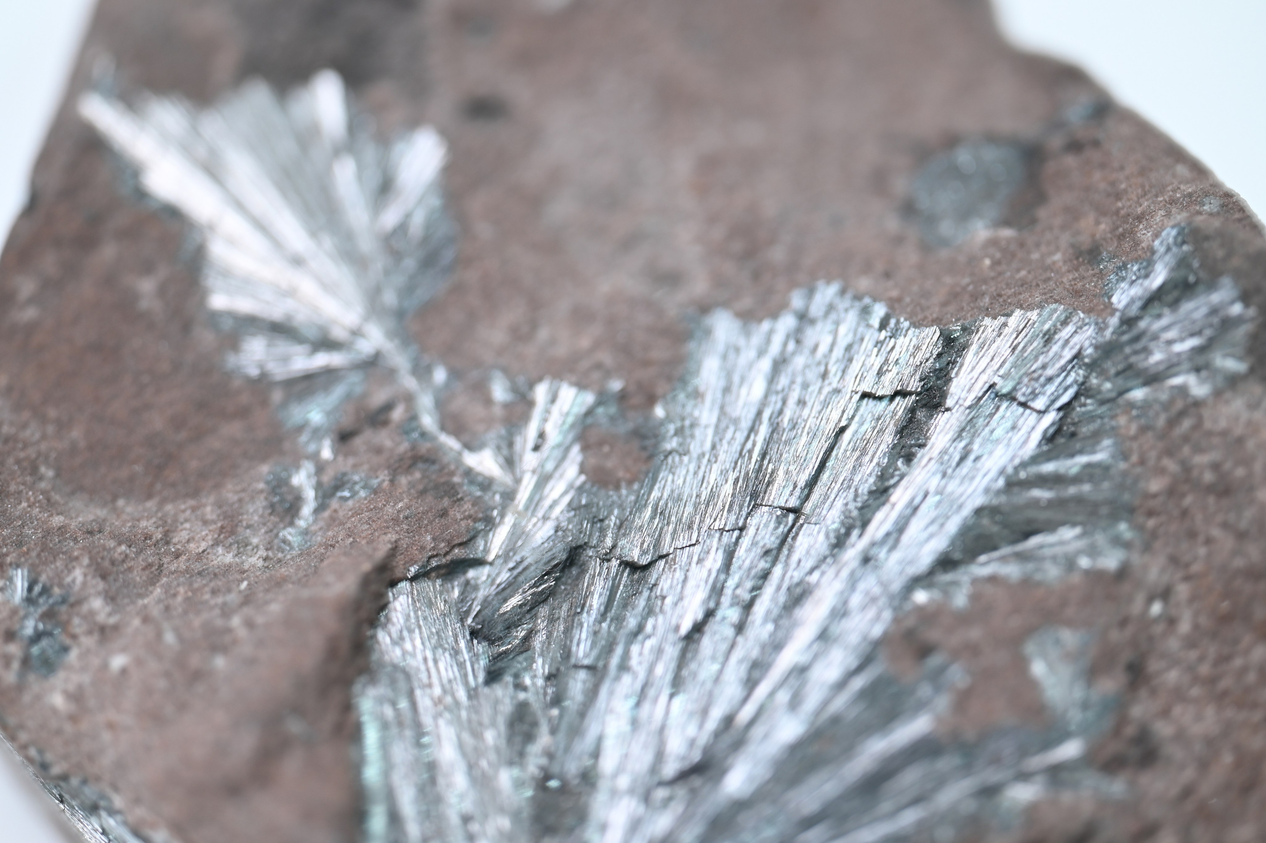 Curriculum Vitae. Артур Бахтин