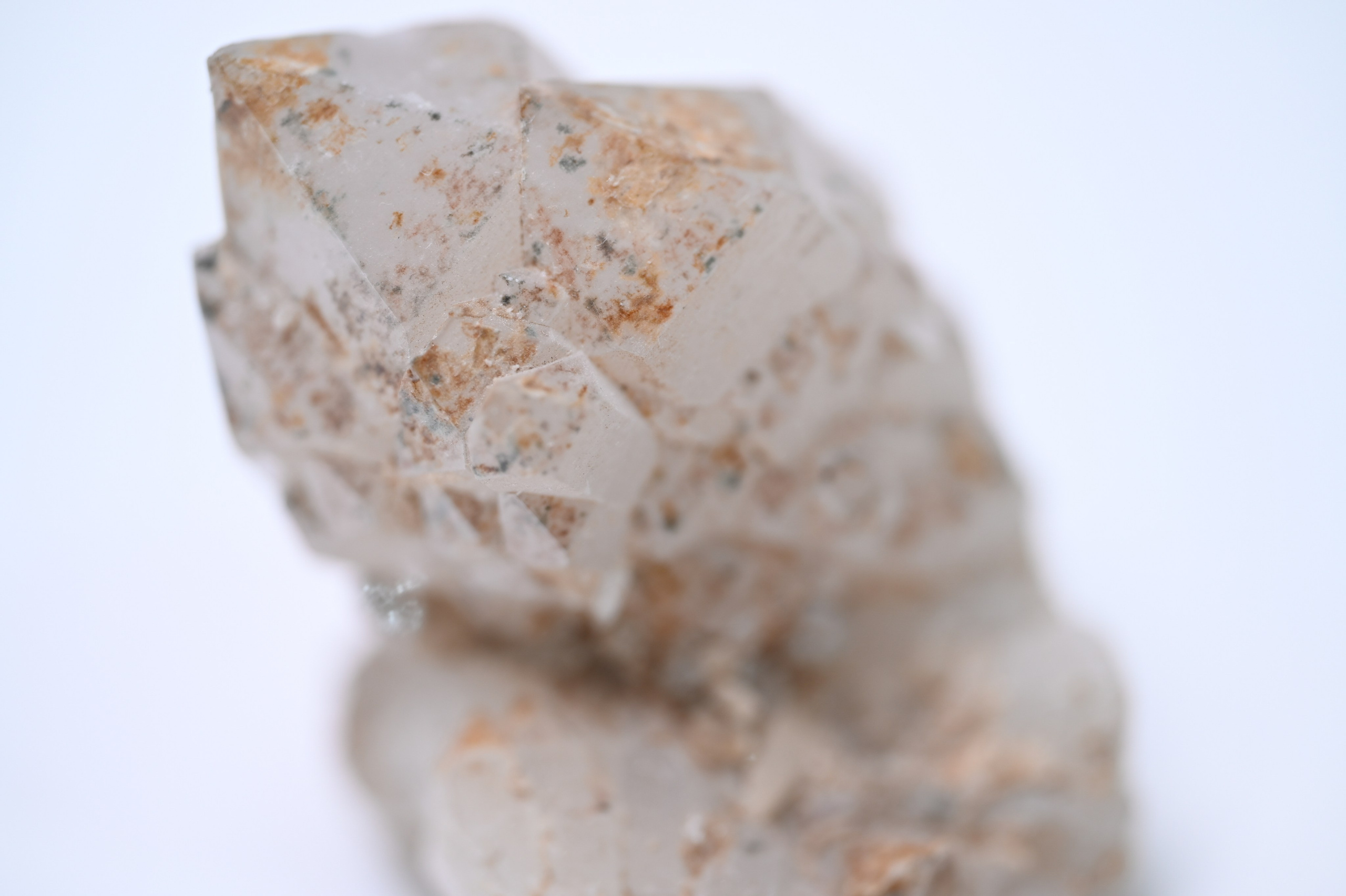 Curriculum Vitae. Артур Бахтин