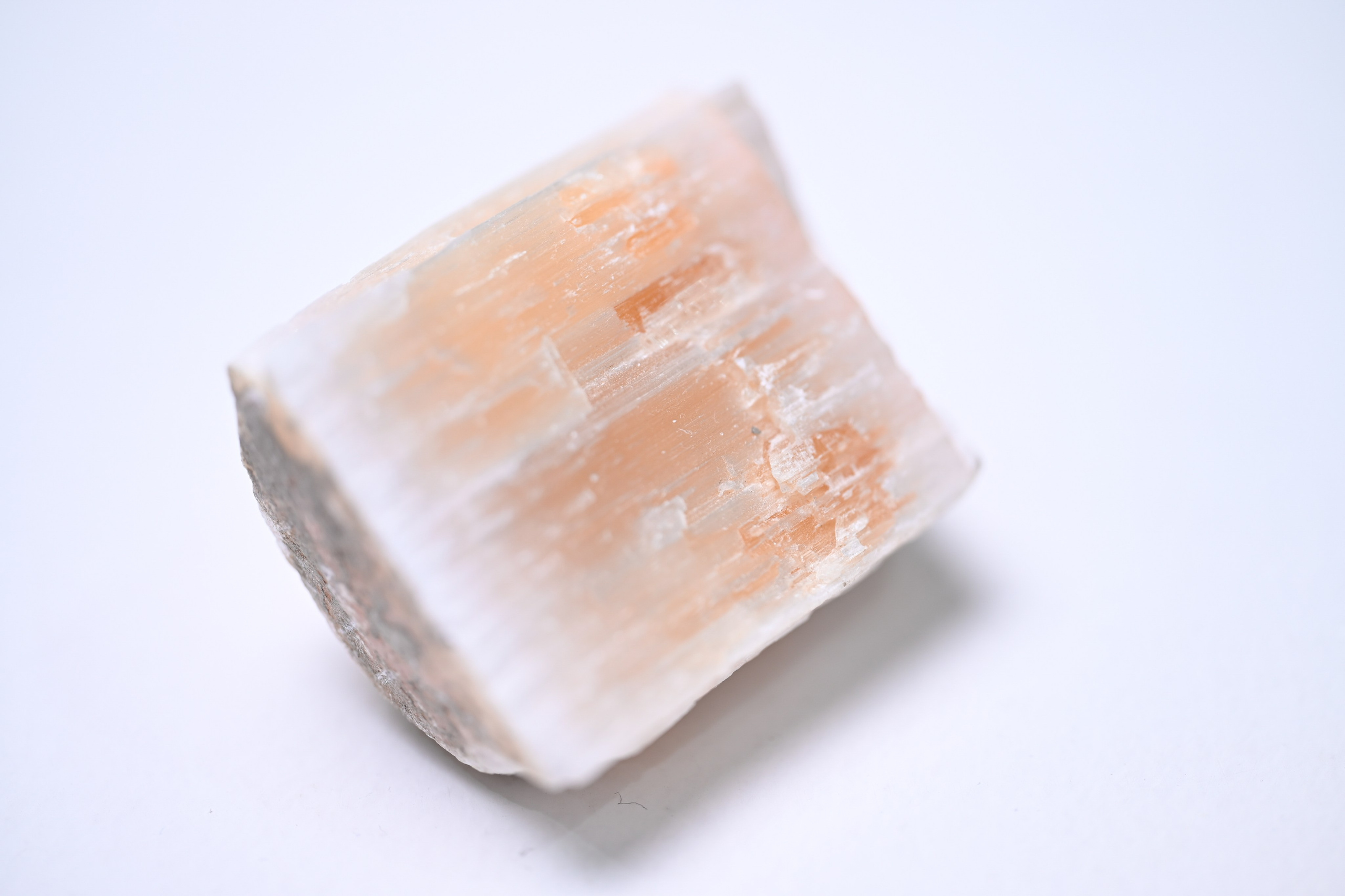 Curriculum Vitae. Артур Бахтин