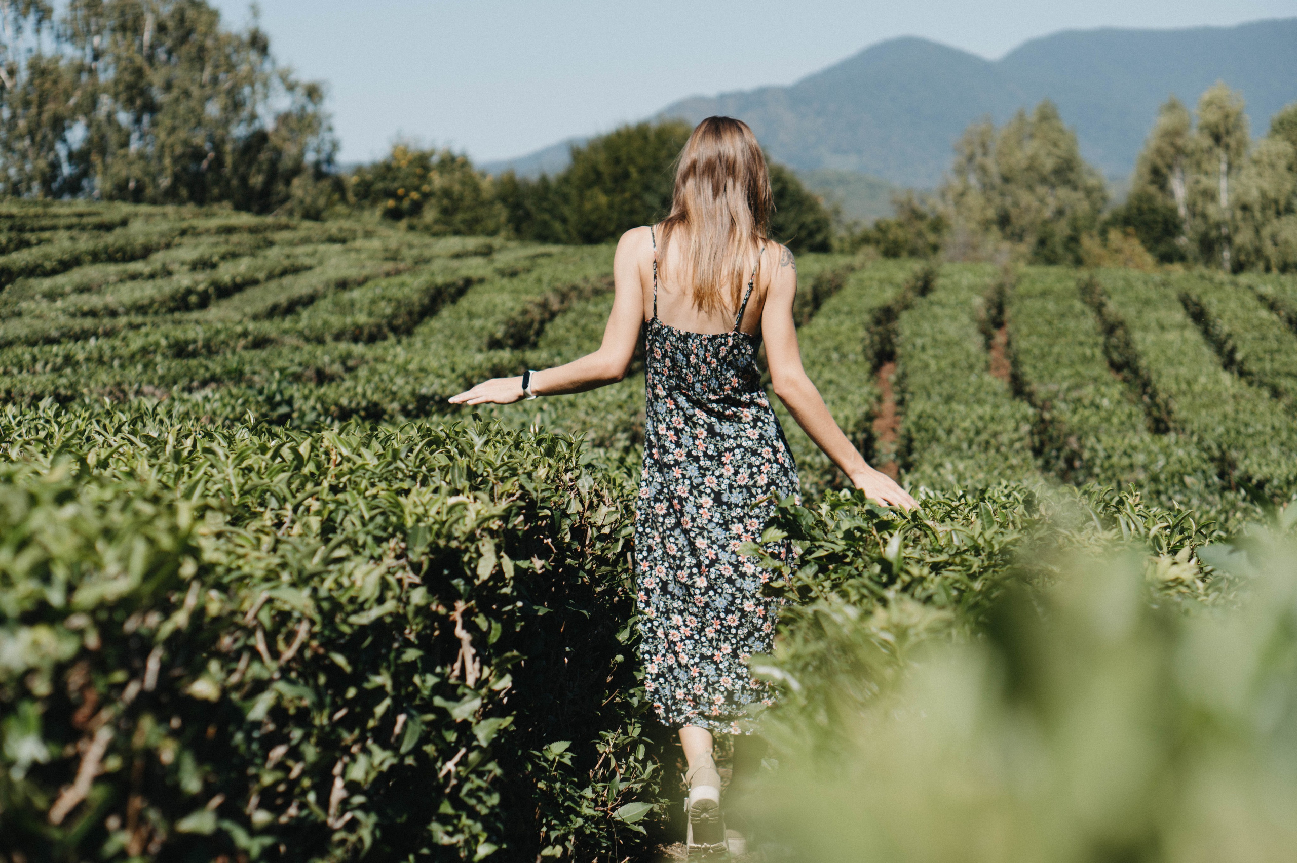 Фотограф Сочи и Адлер — Фотосессии по доступной цене