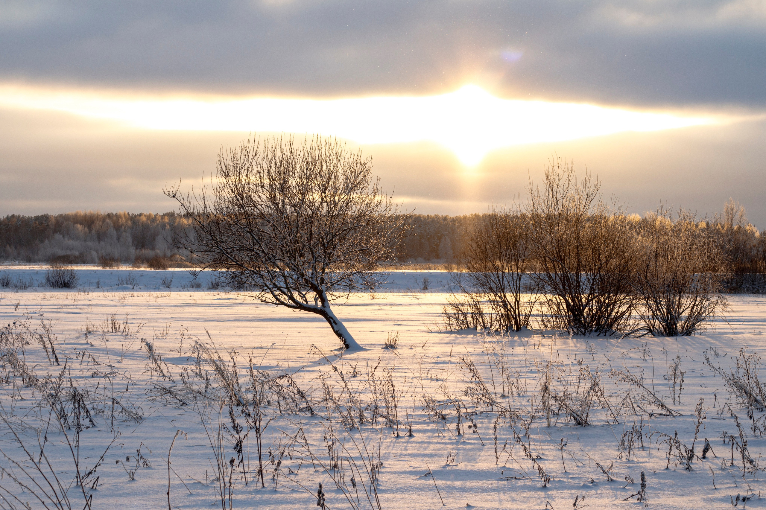 Зимняя фотосессия — сказка в Волочке