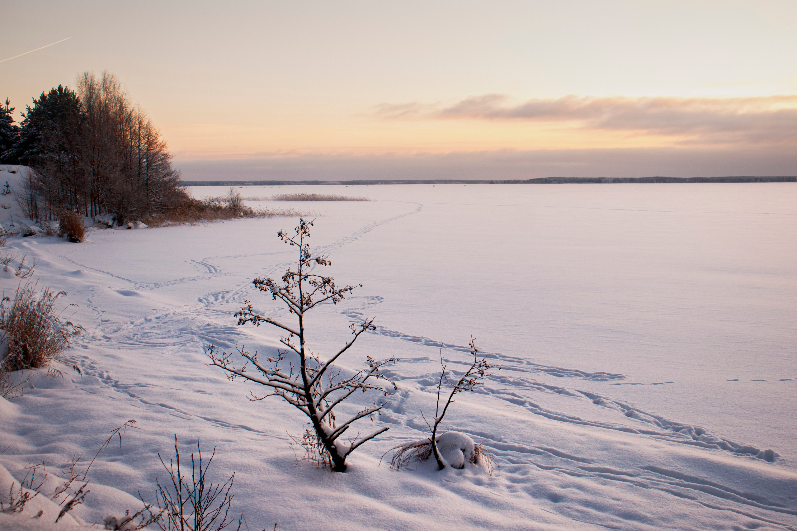 Зимняя фотосессия — сказка в Волочке