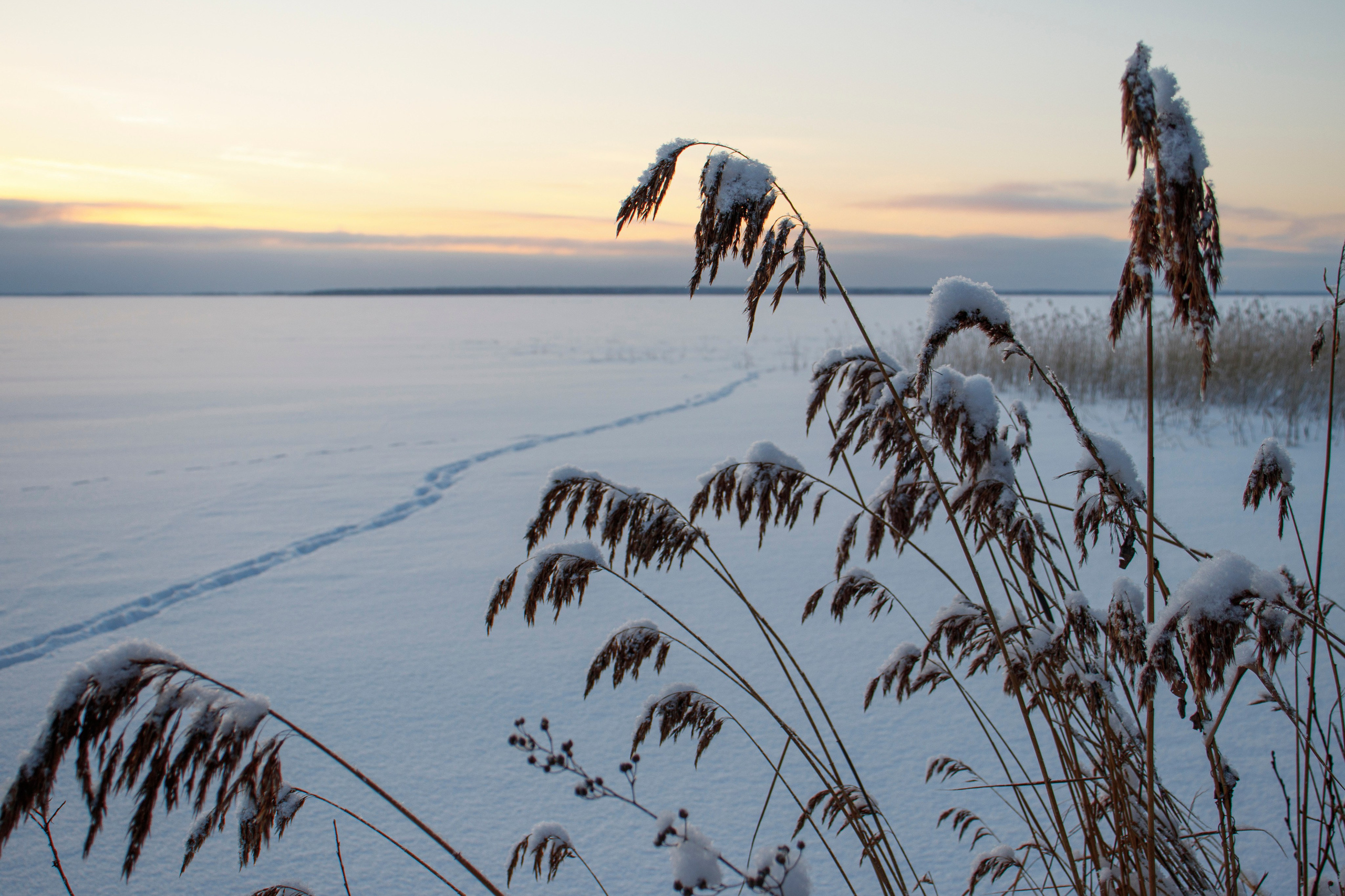 Зимняя фотосессия — сказка в Волочке