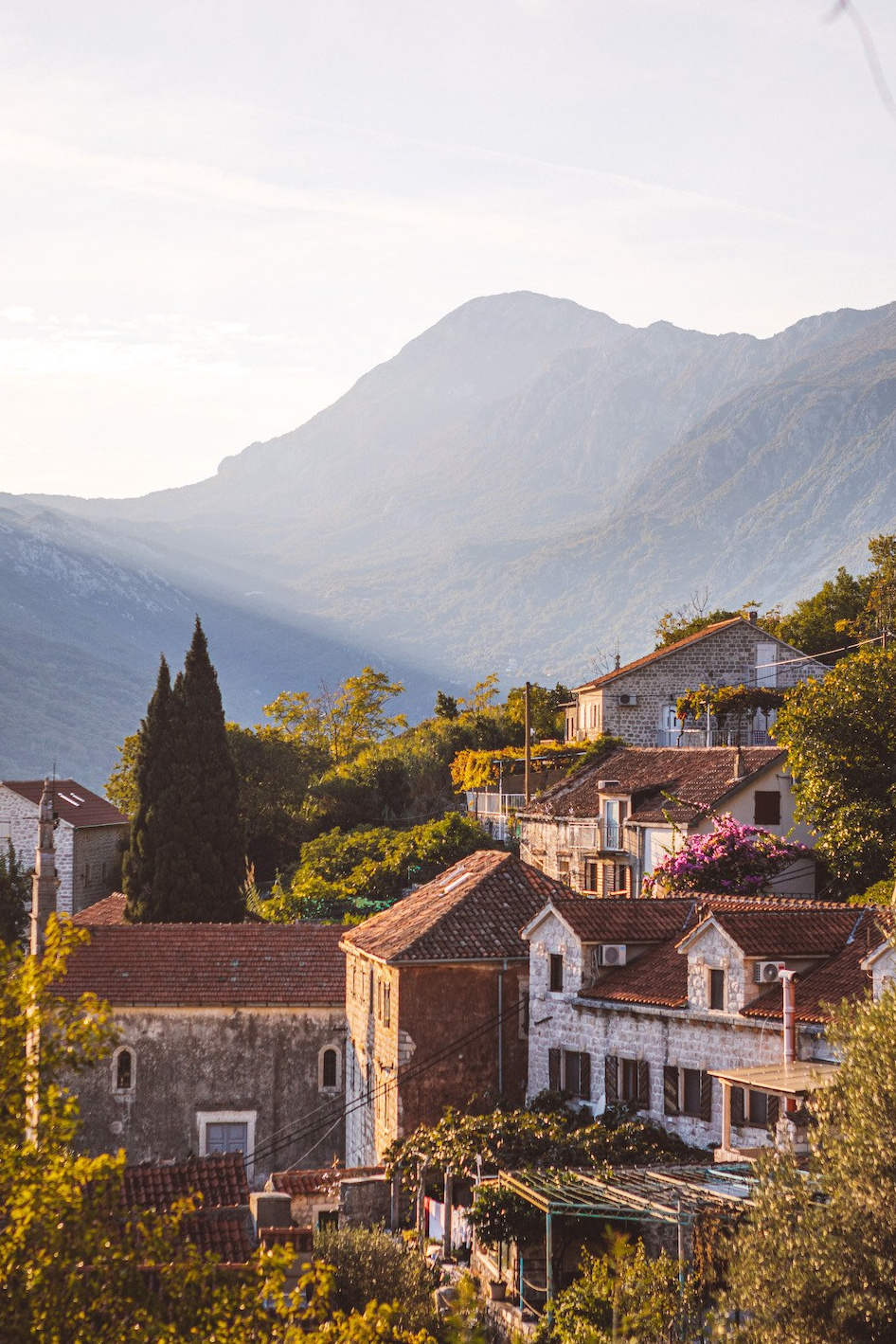 Сommercial. Olga Modjaro
