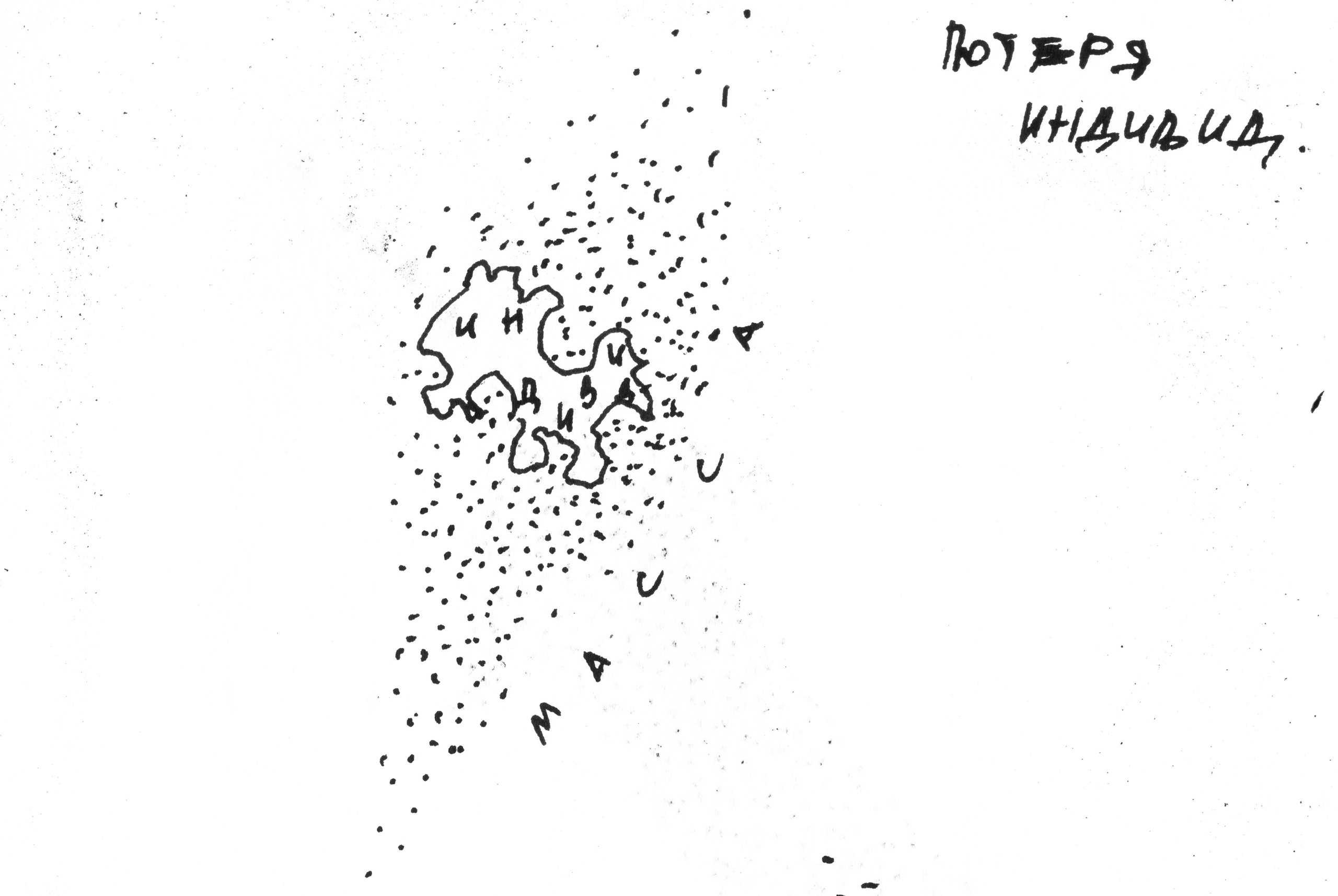 Кристина Разумова — О муравьях и улитке (пустая раковина, в которой утонули муравьи в капле морской воды)