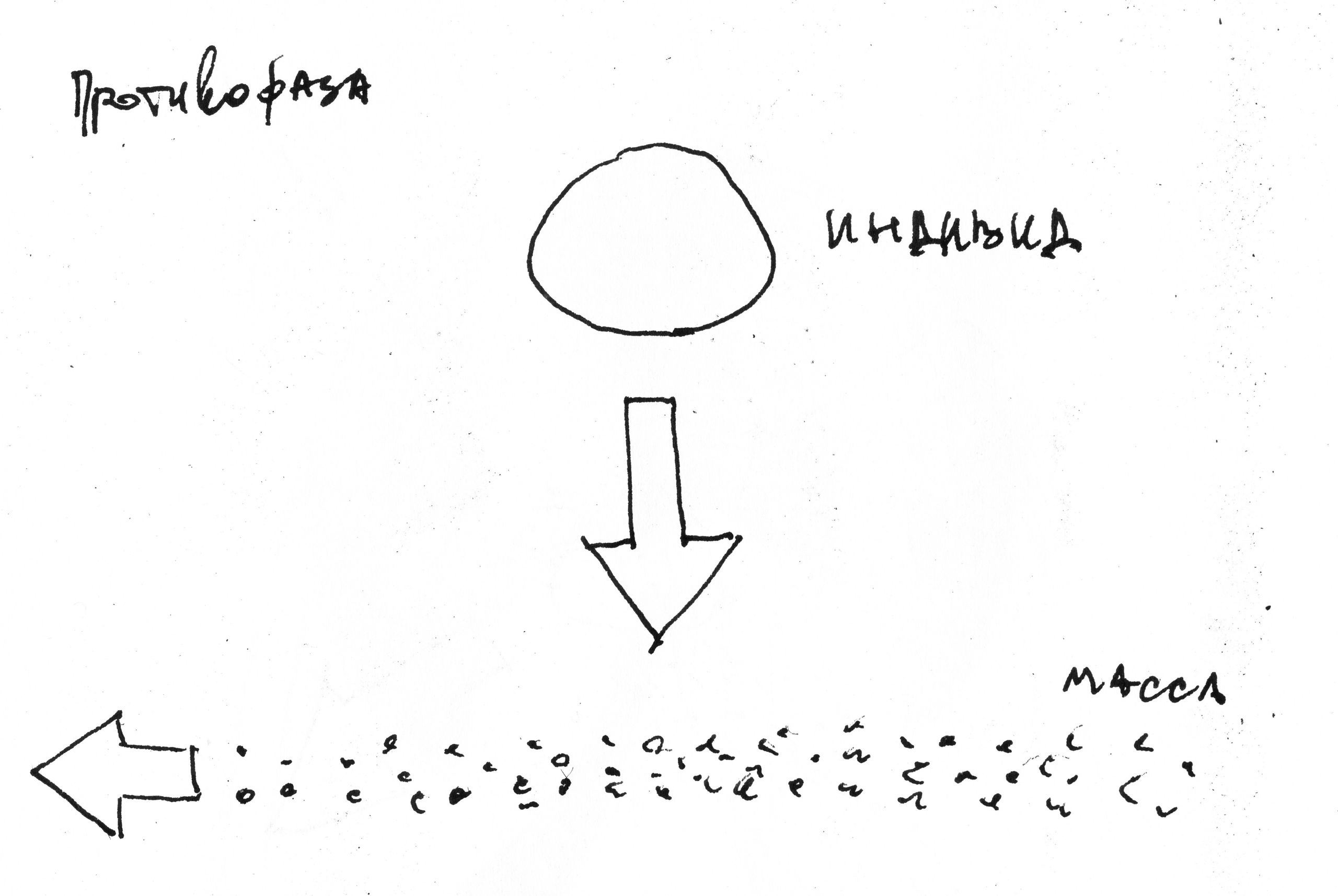 Кристина Разумова — О муравьях и улитке (пустая раковина, в которой утонули муравьи в капле морской воды)