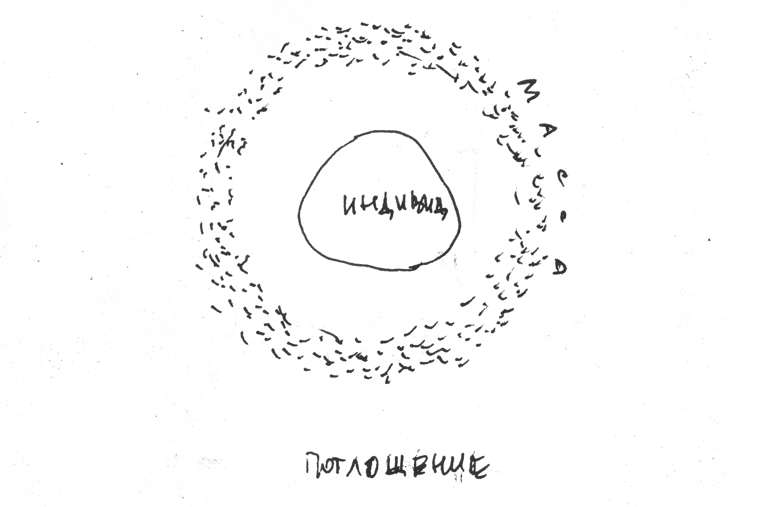 Кристина Разумова — О муравьях и улитке (пустая раковина, в которой утонули муравьи в капле морской воды)