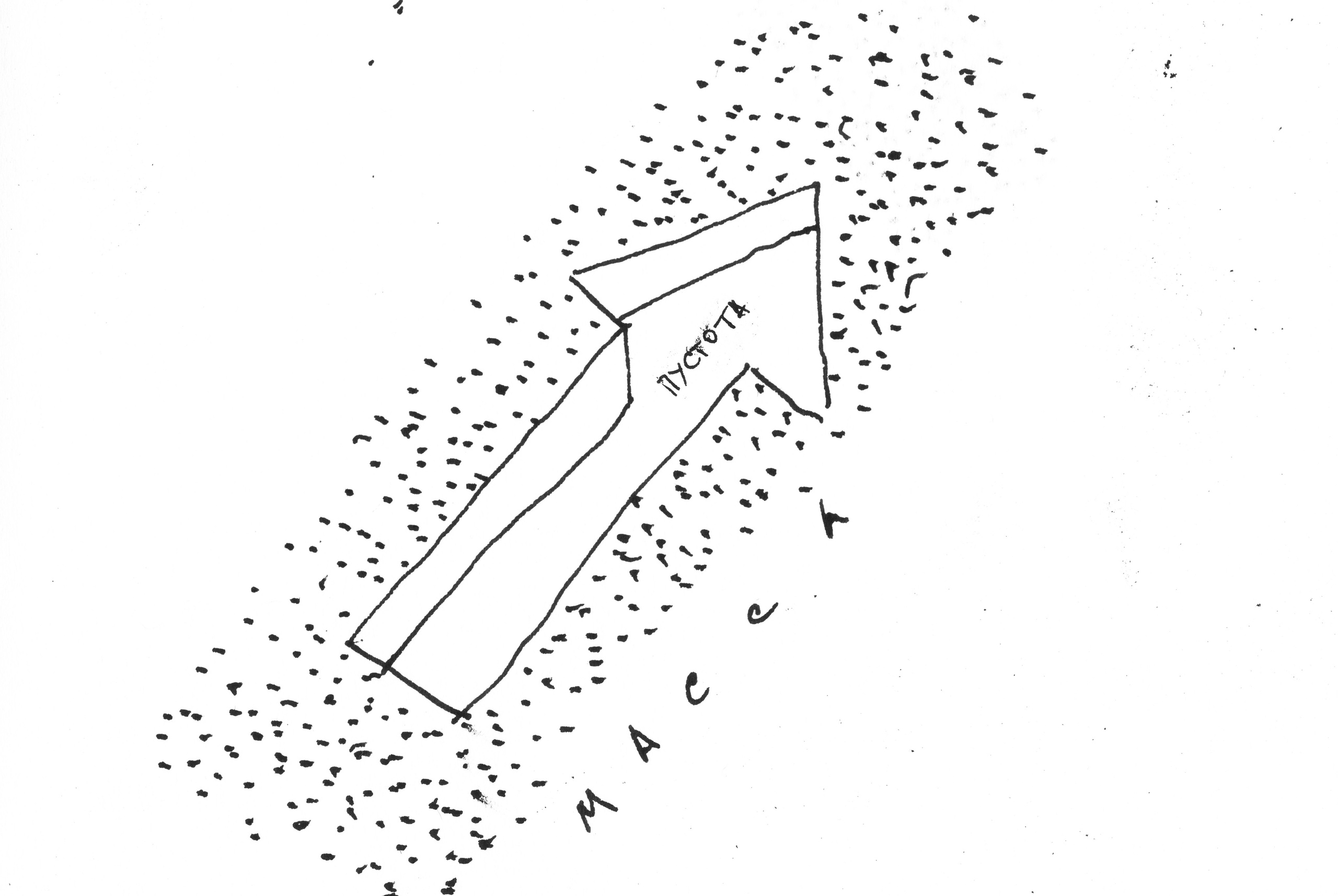 Кристина Разумова — О муравьях и улитке (пустая раковина, в которой утонули муравьи в капле морской воды)