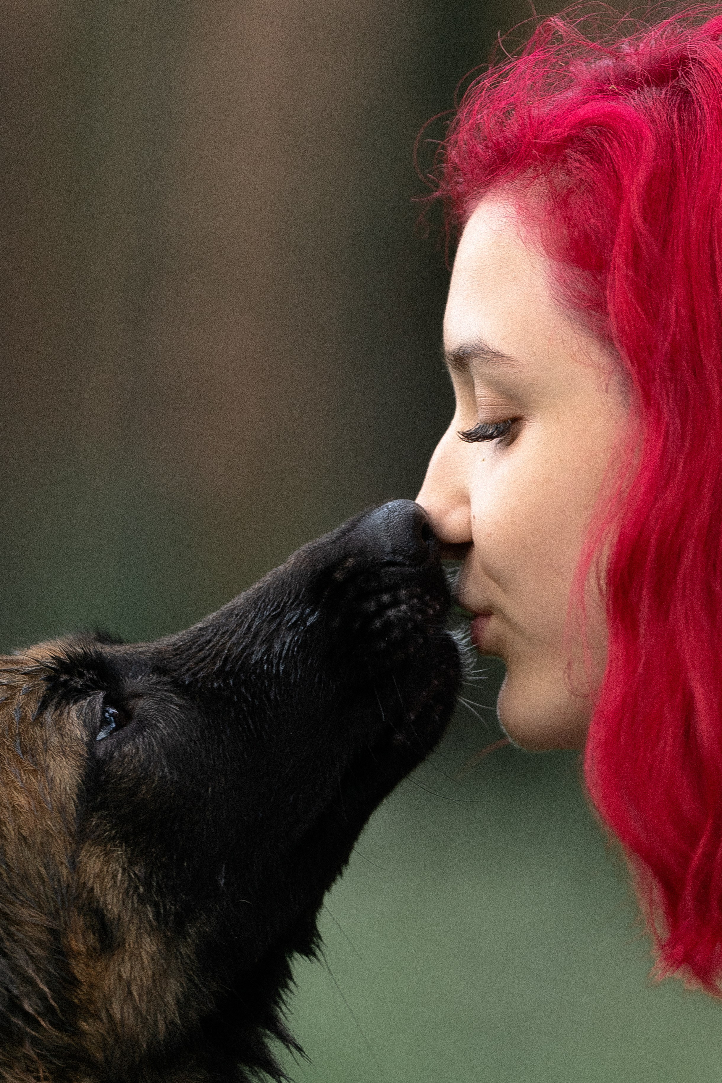 Прайс. Фотограф и видеограф анималист Аганина Дарья