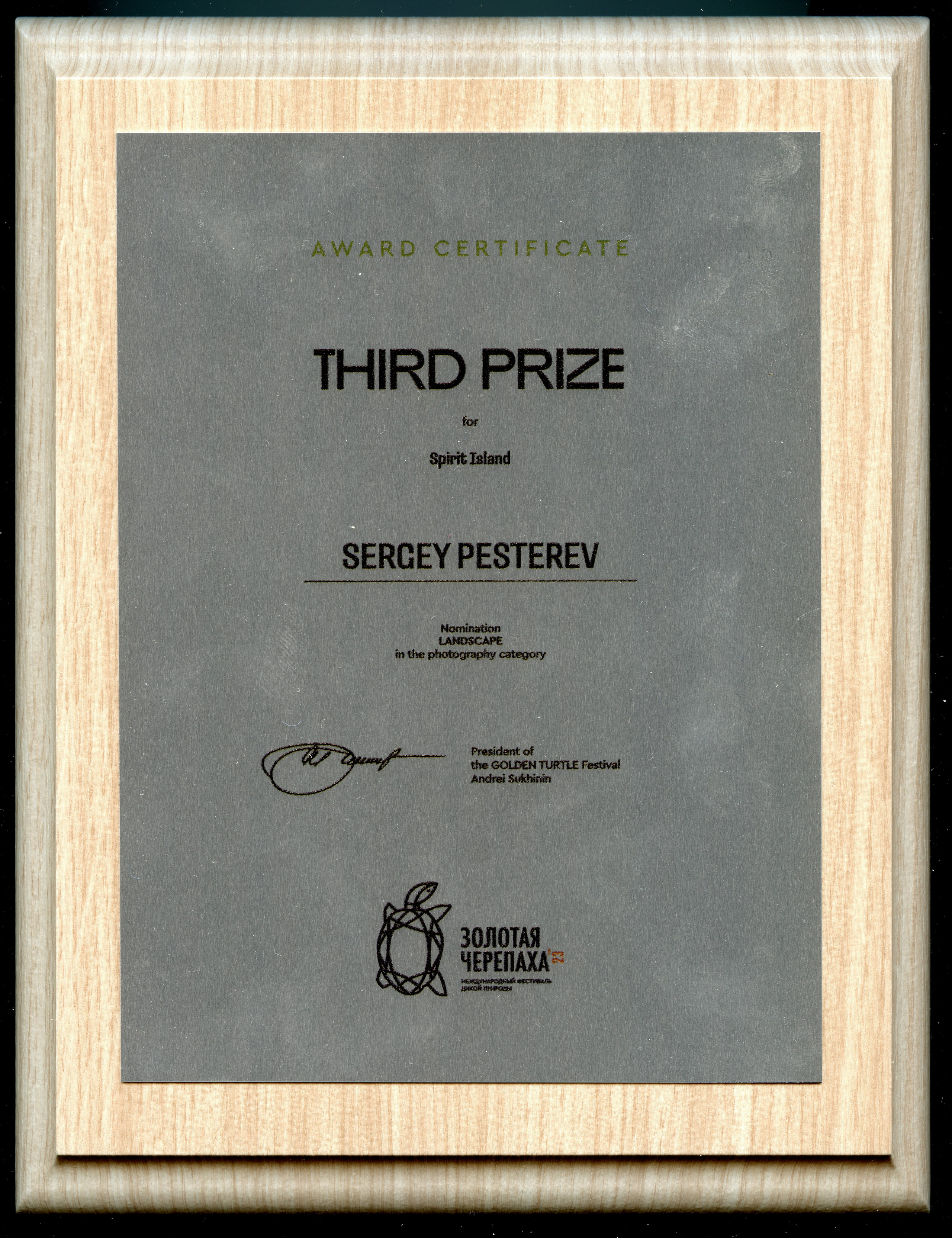 Golden Turtle Competition Diploma