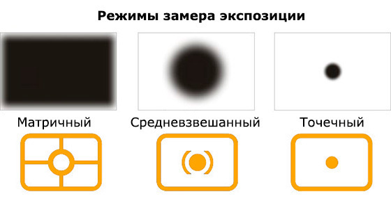 Обучение фотографии. Фотограф в Анапе Елена Нор
