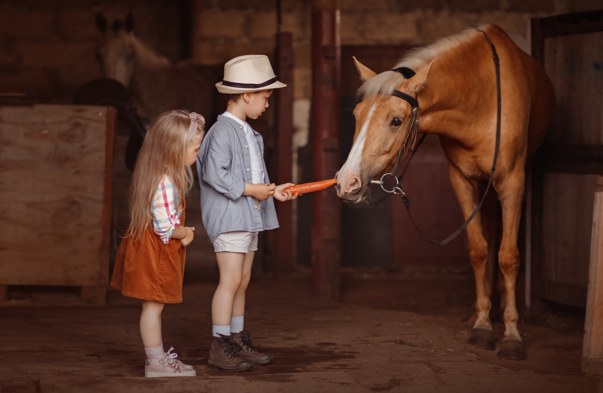 ЦЕНЫ — УСЛУГИ. Семейный и детский фотограф в Краснодаре Лафета Алена