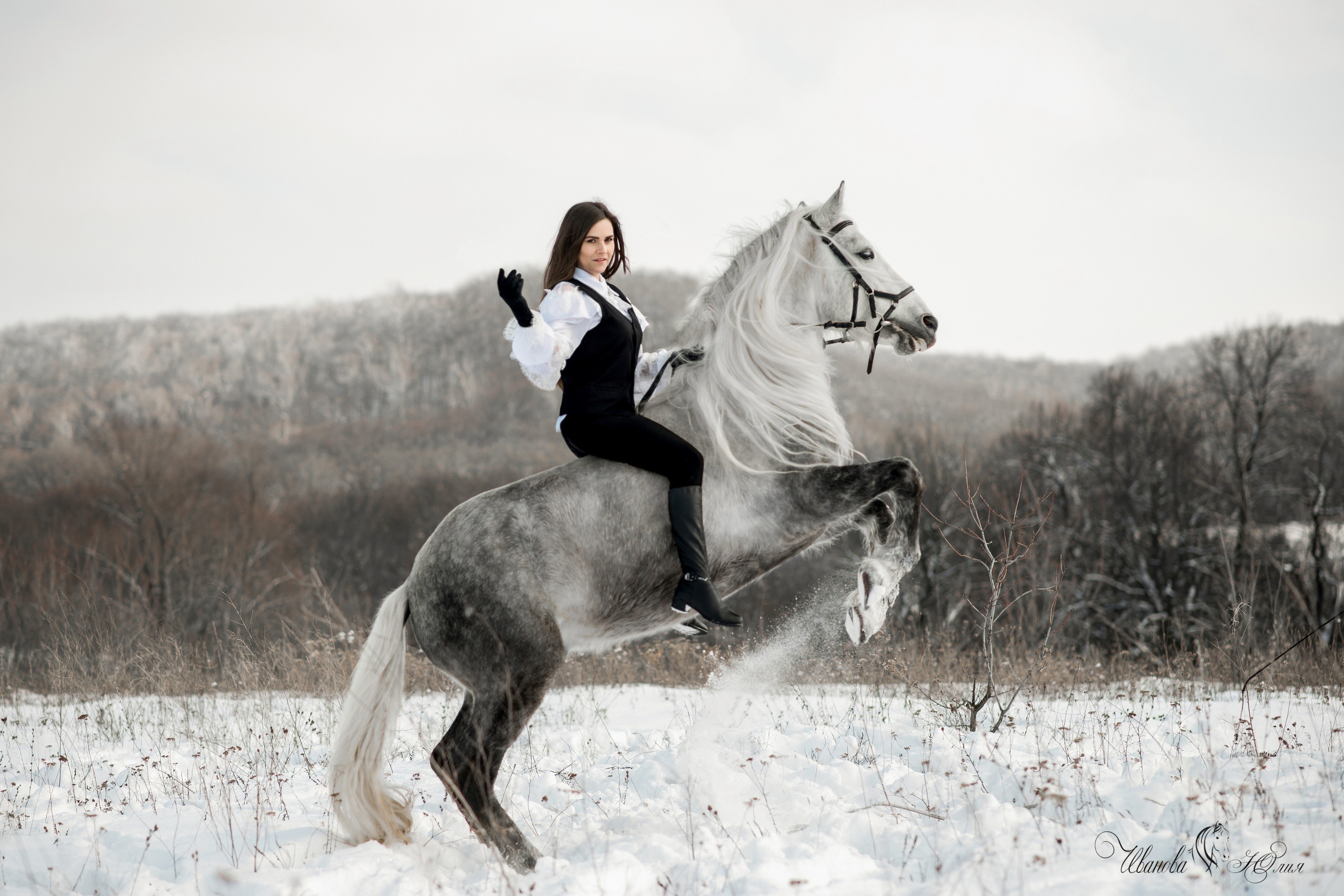 Может ли выполнять трюки на лошади новичок?. Конный фотограф в Саратове Юлия Иванова