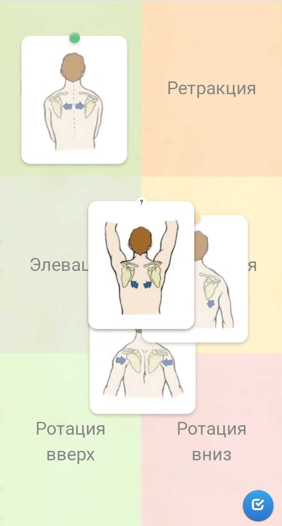 Задание № 18 «Движения в лопатках и упражнения». Уроки стретчинга для взрослых