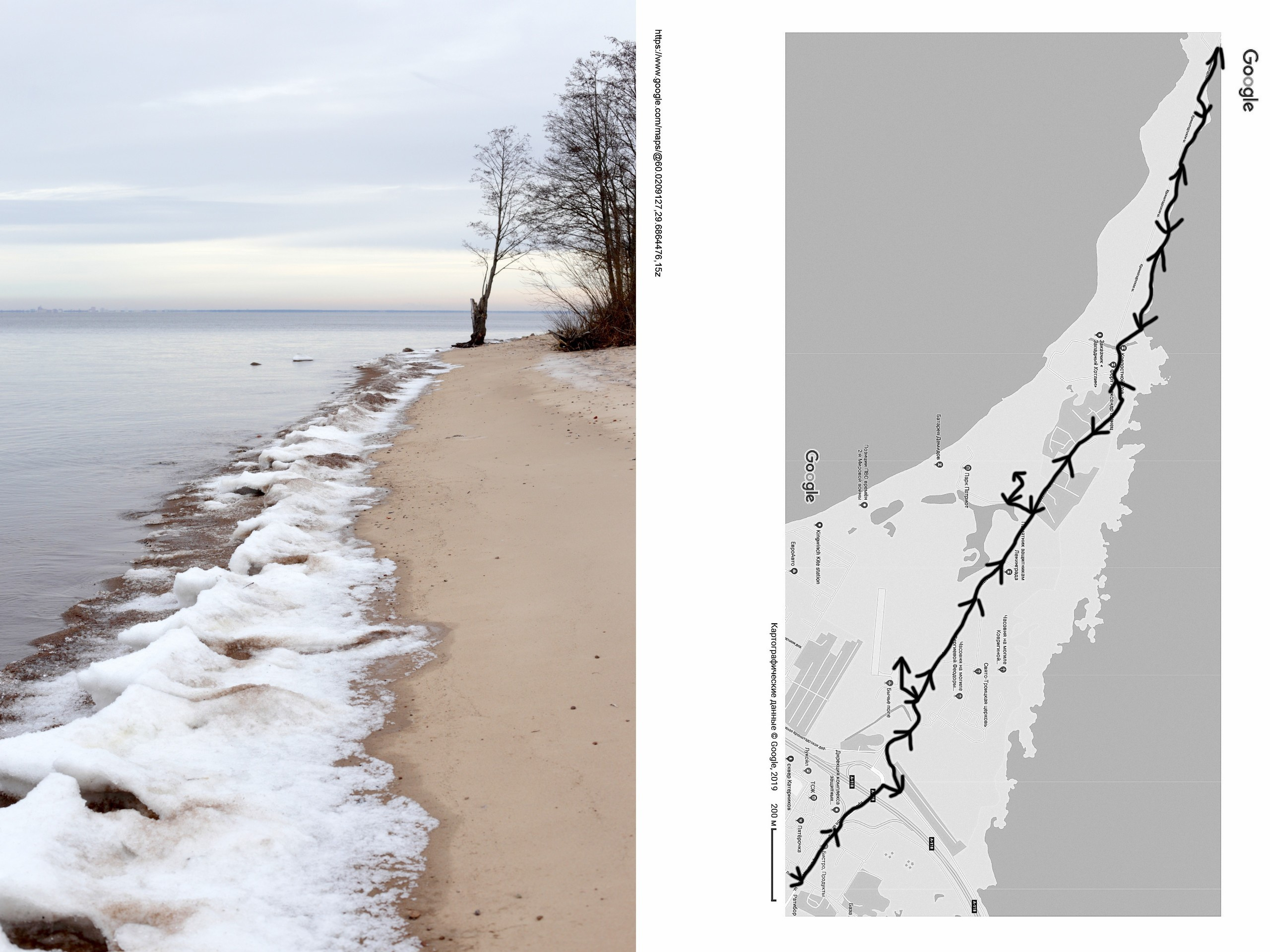 Екатерина Васильева художник, куратор и преподаватель