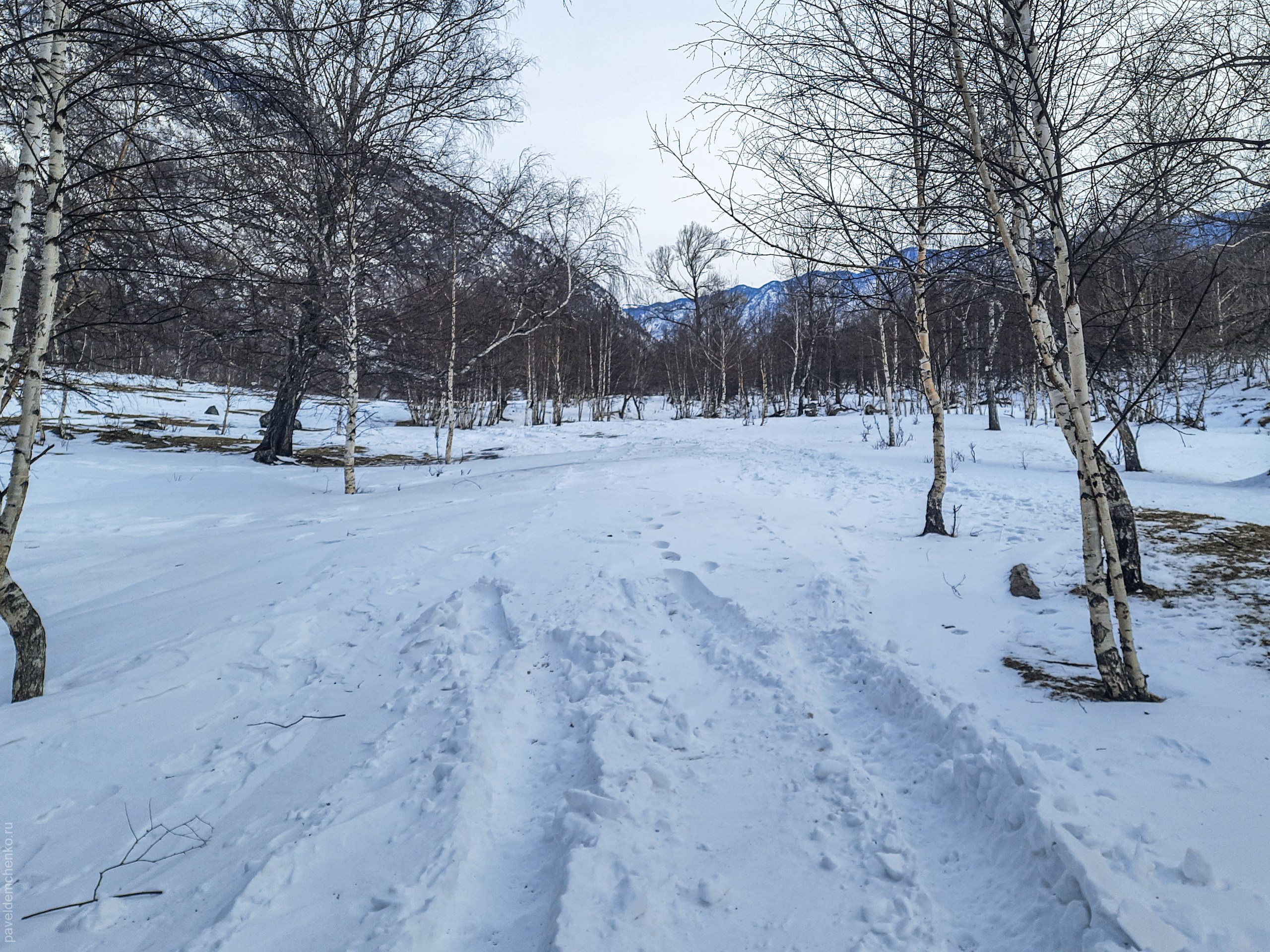 Весна в долине Чулышмана. Gennady Travel