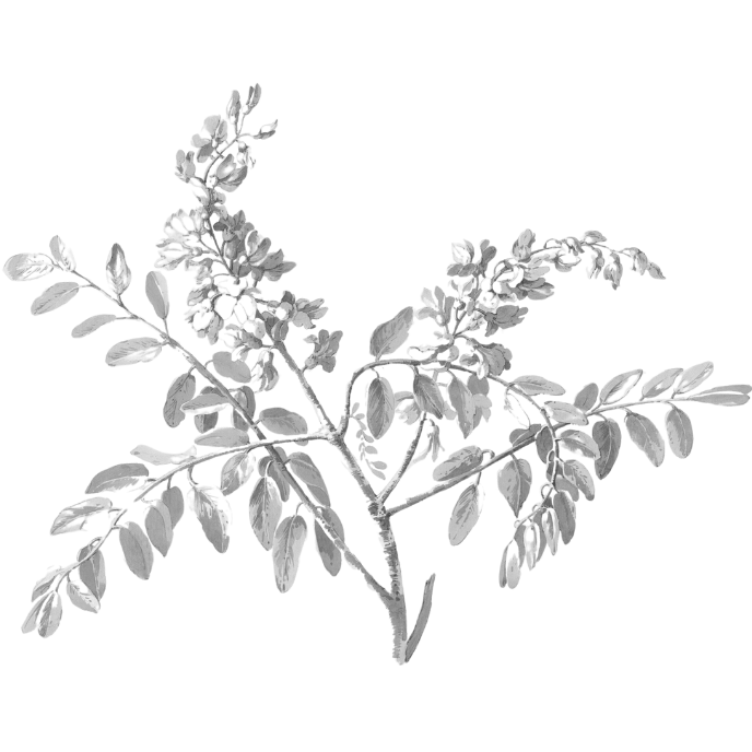 ПЛАНИРОВАНИЕ МАРШРУТОВ. Ольга Моджаро | Маршруты по Франции