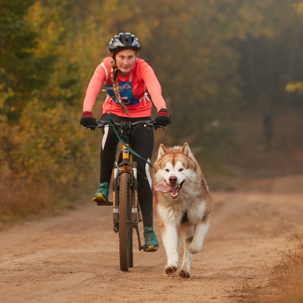 ФОТО. ФОТОГРАФ-АНИМАЛИСТ l LANA POLYAKOVA
