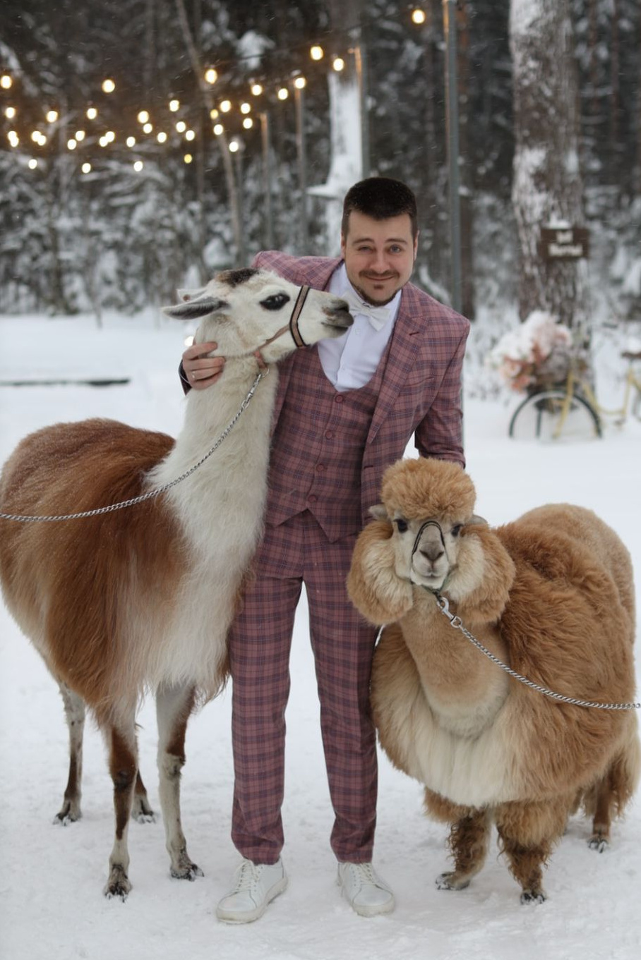 Свадебные специалисты