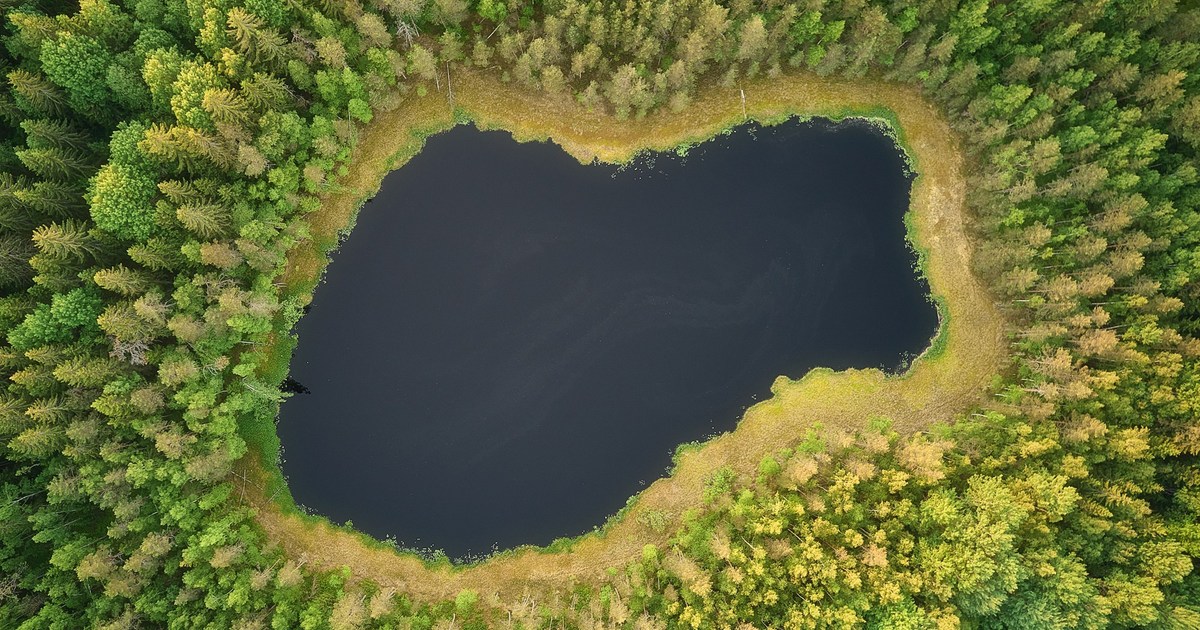 Аэрофотография. Пейзажный фотограф Александр Чехонин