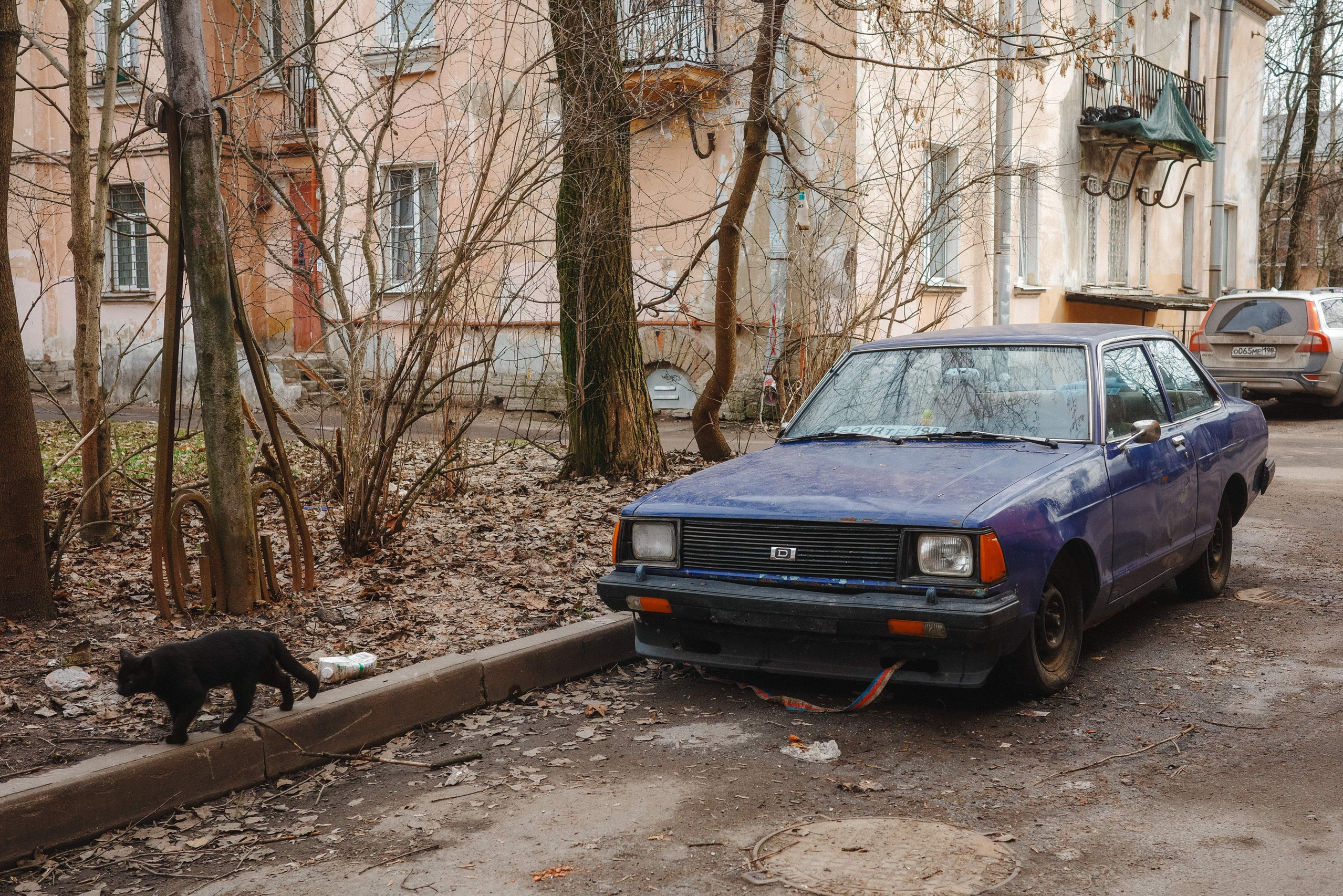 Город. Фотограф Алексей Алексеев