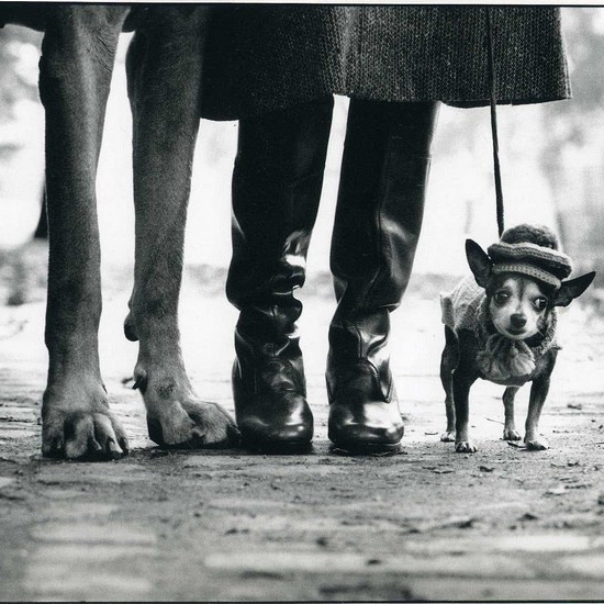 КЛЮЧ ФОТОХУДОЖНИКИ