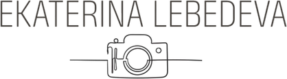 phlebedeva.wfolio.pro
