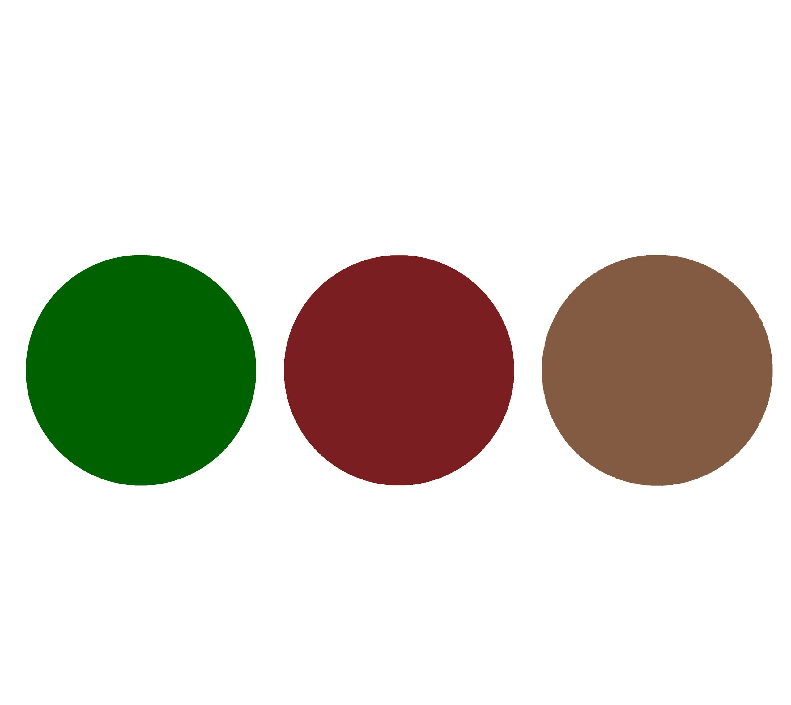 Рекомендации по образам для зала «Библиотека». Фотограф в Санкт-Петербурге, Анна Скворцова