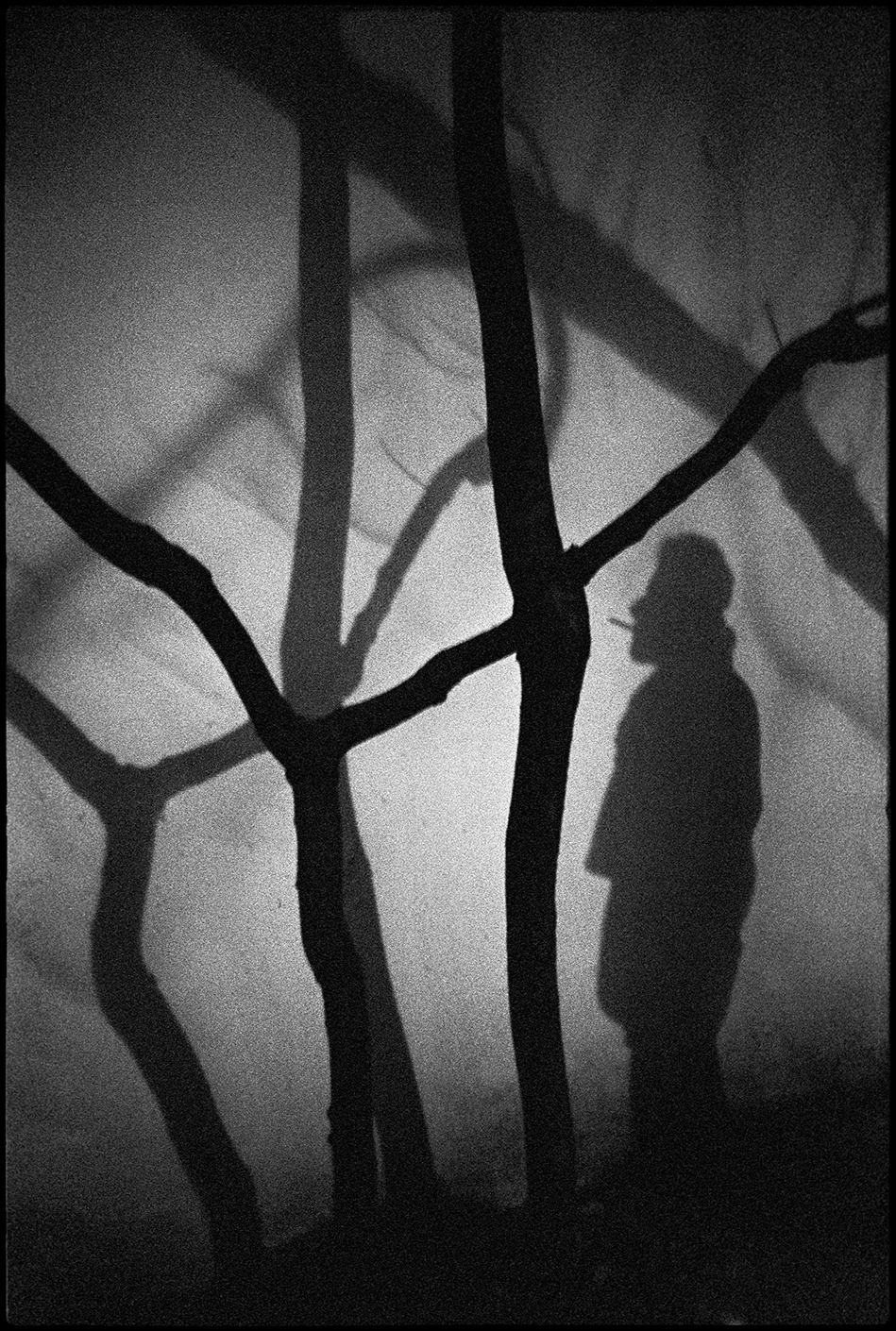 Юрий Нездойминога. Фотострелка