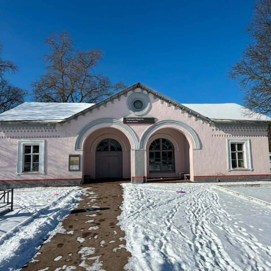 Брянский лес. «Книжка с картинками» Фотограф Наталья Цыбина
