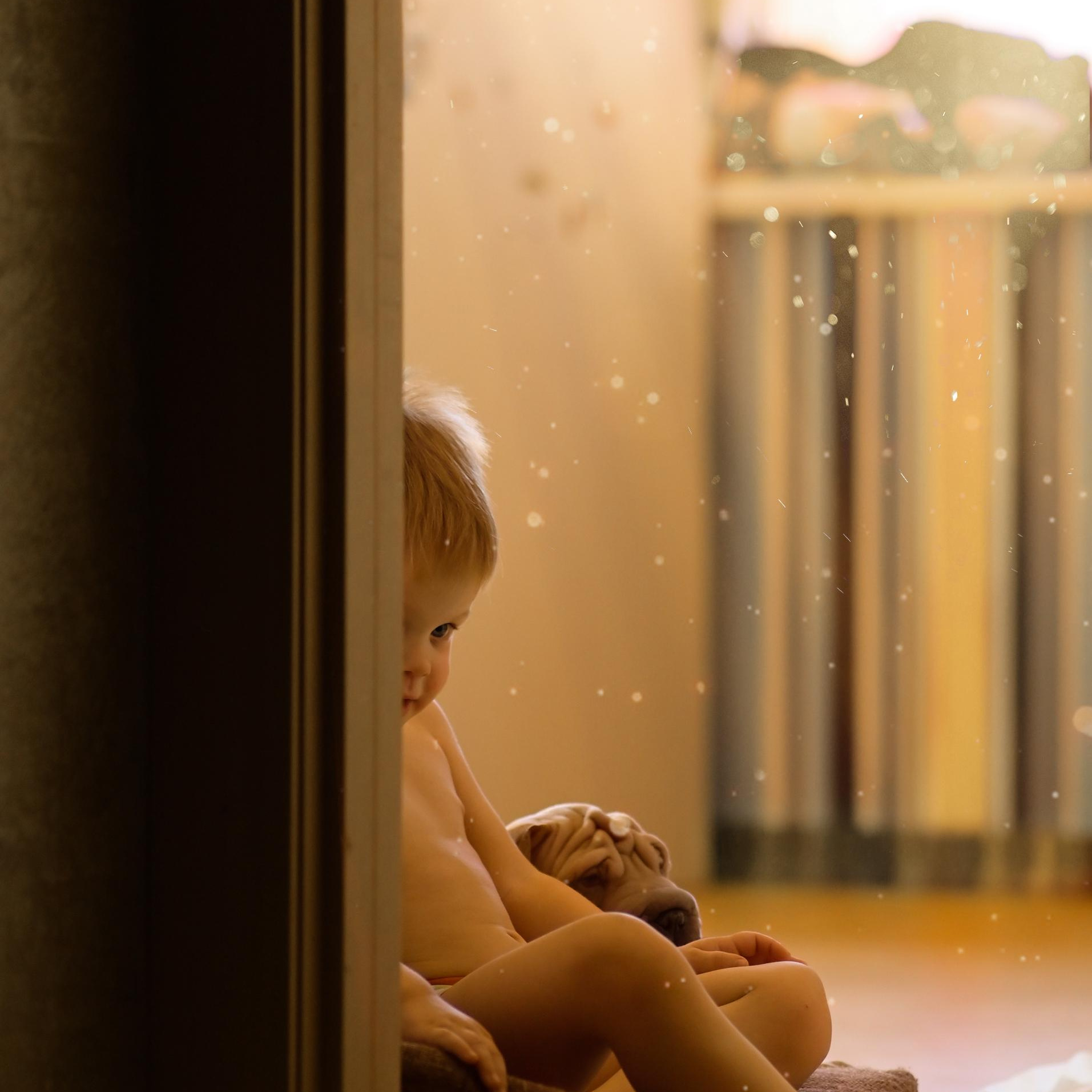 Предзапись на 2023 год ФотоShoot. Семейный Фотограф Новосибирск, Школьные фотосессии Новосибирск, школьный фотограф Новосибирск, выпускные альбомы