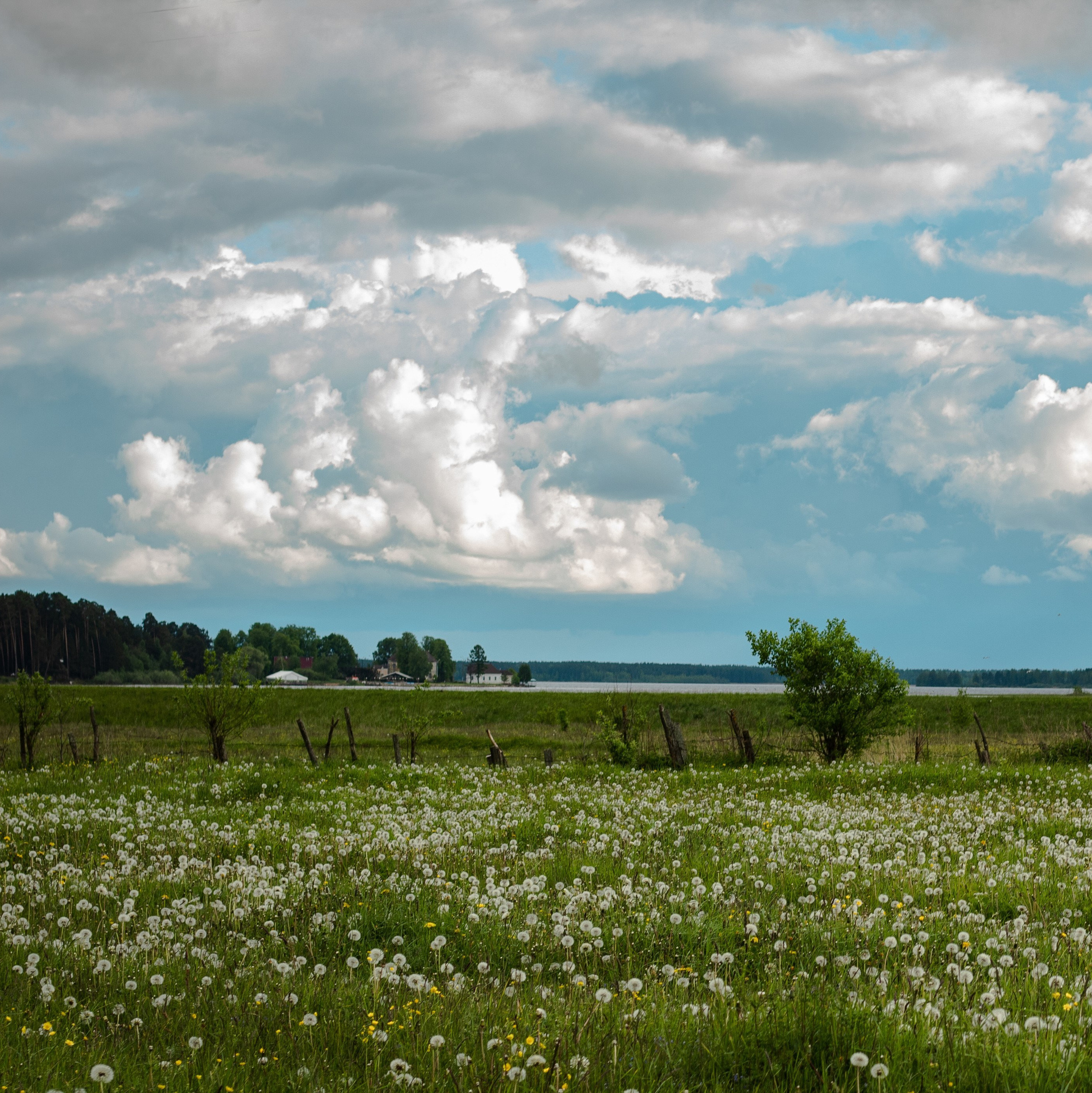 夏季在维什尼沃洛乔克 – 捕捉大自然四季的摄影系列
