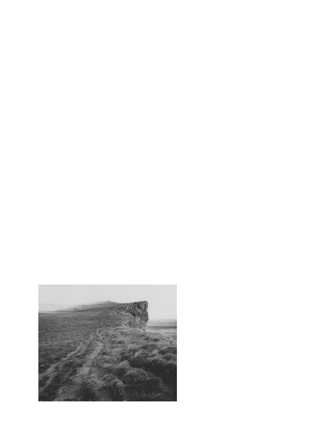 Таня Щербинина «Strange landscapes». Самоорганизация Низина