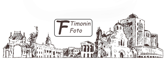 timoninkonstantin.ru