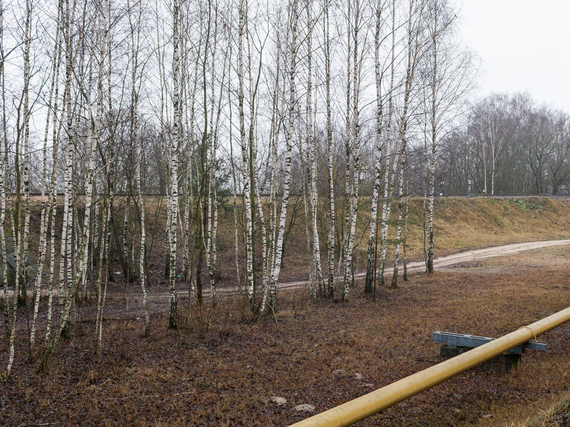 Künstler Verstecktoff