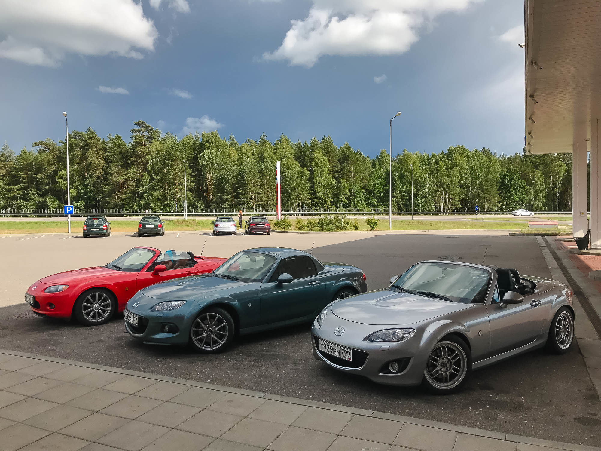 Путешествие в Румынию | Часть 1/4. Фотограф Дмитрий Питерский