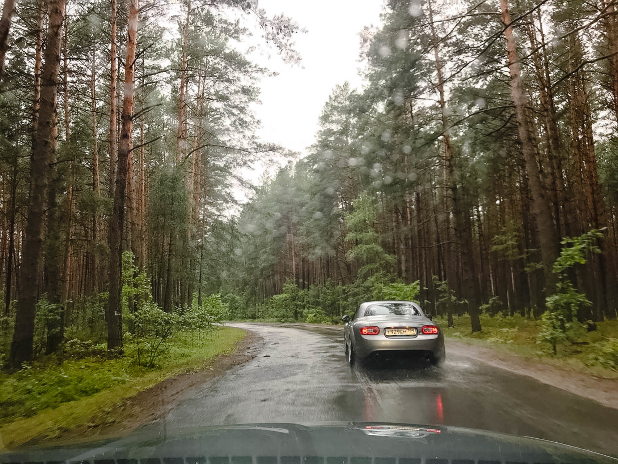 Путешествие в Румынию | Часть 1/4. Фотограф Дмитрий Питерский