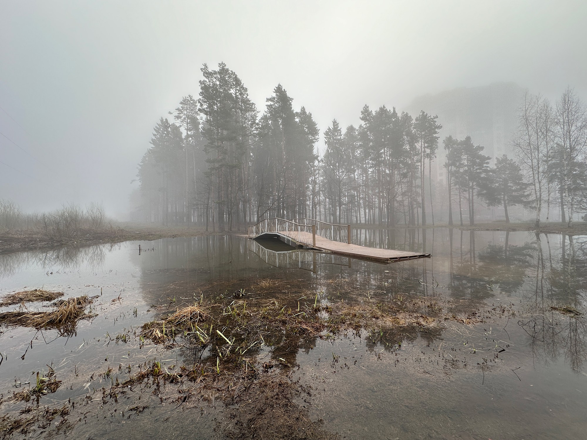 CPOY 79 Interpretive Eye. Tutta Gnutta