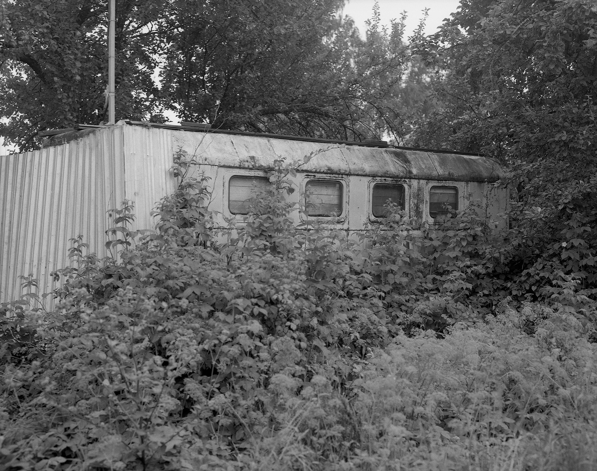 The voice of cold water. Vika Bykovskaya photography