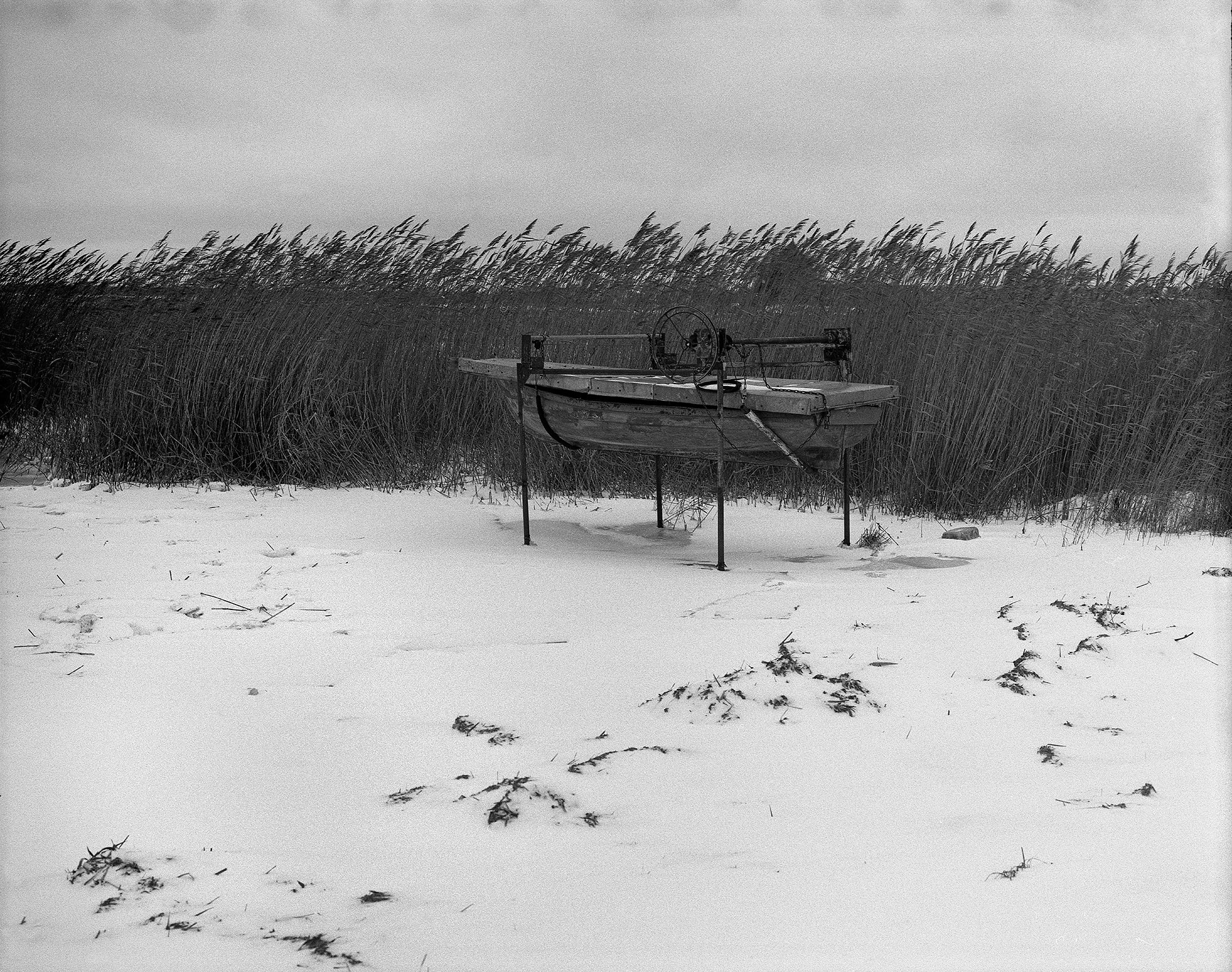 The voice of cold water. Vika Bykovskaya photography