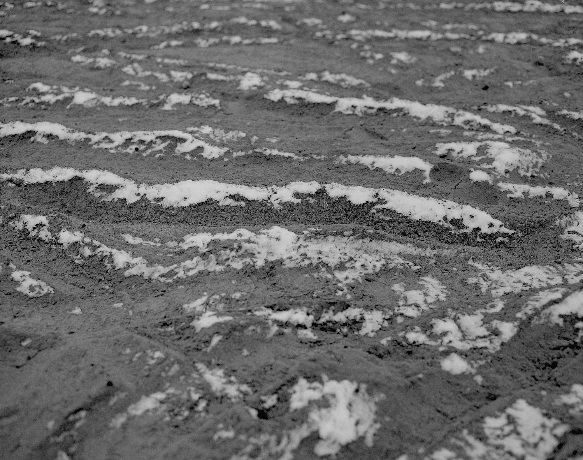 The voice of cold water. Vika Bykovskaya photography