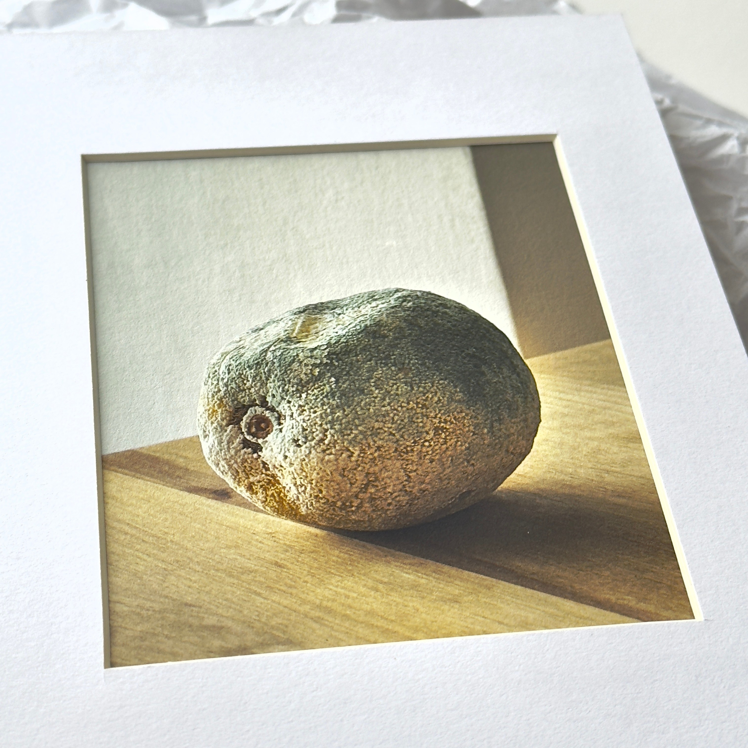 Limited edition print from The Primavera series by Elena Anosova