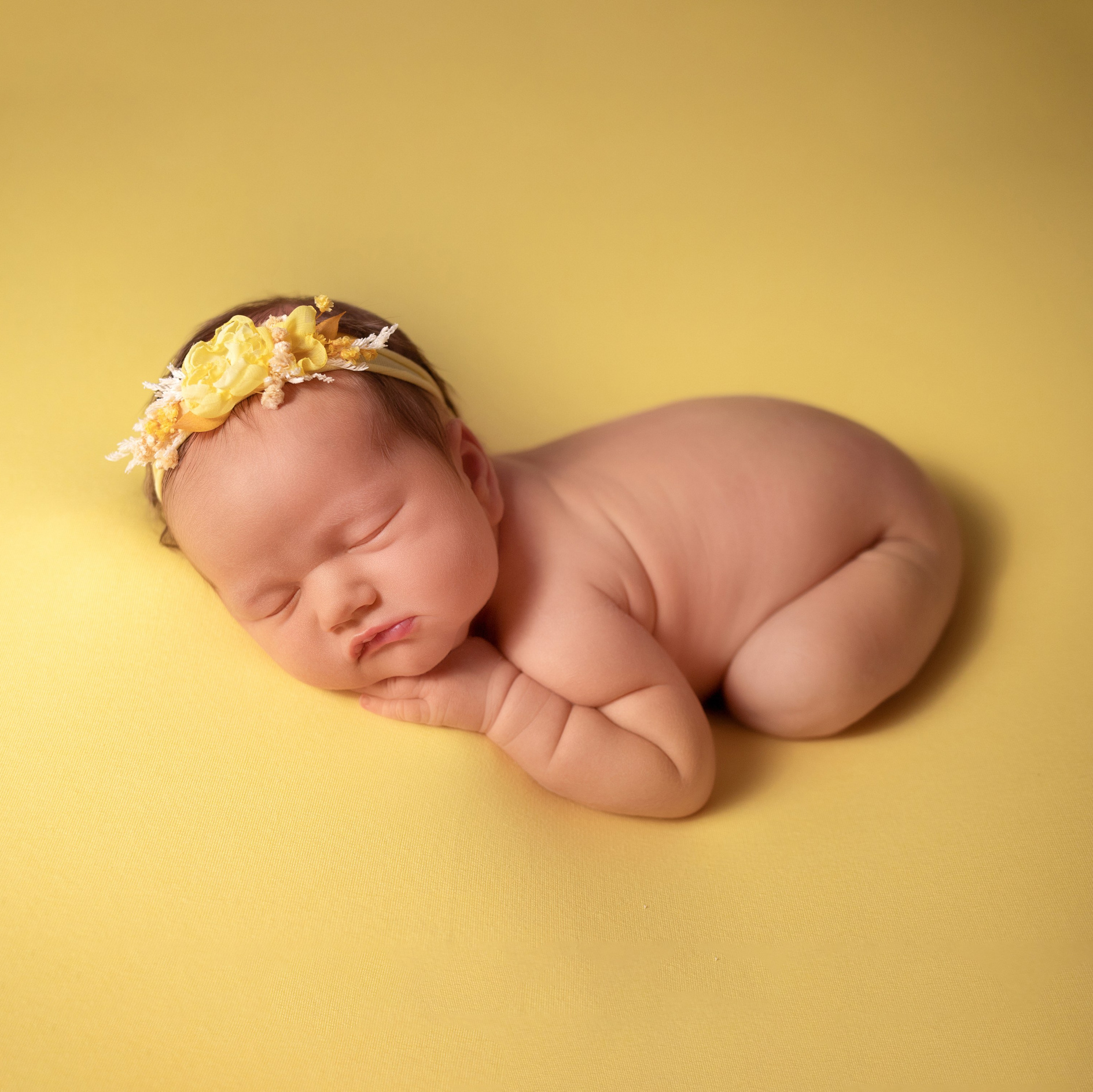 Цены на услуги фотографа новорождённых. Фотограф новорождённых Волгоград Волжский Дарья Рыскаль