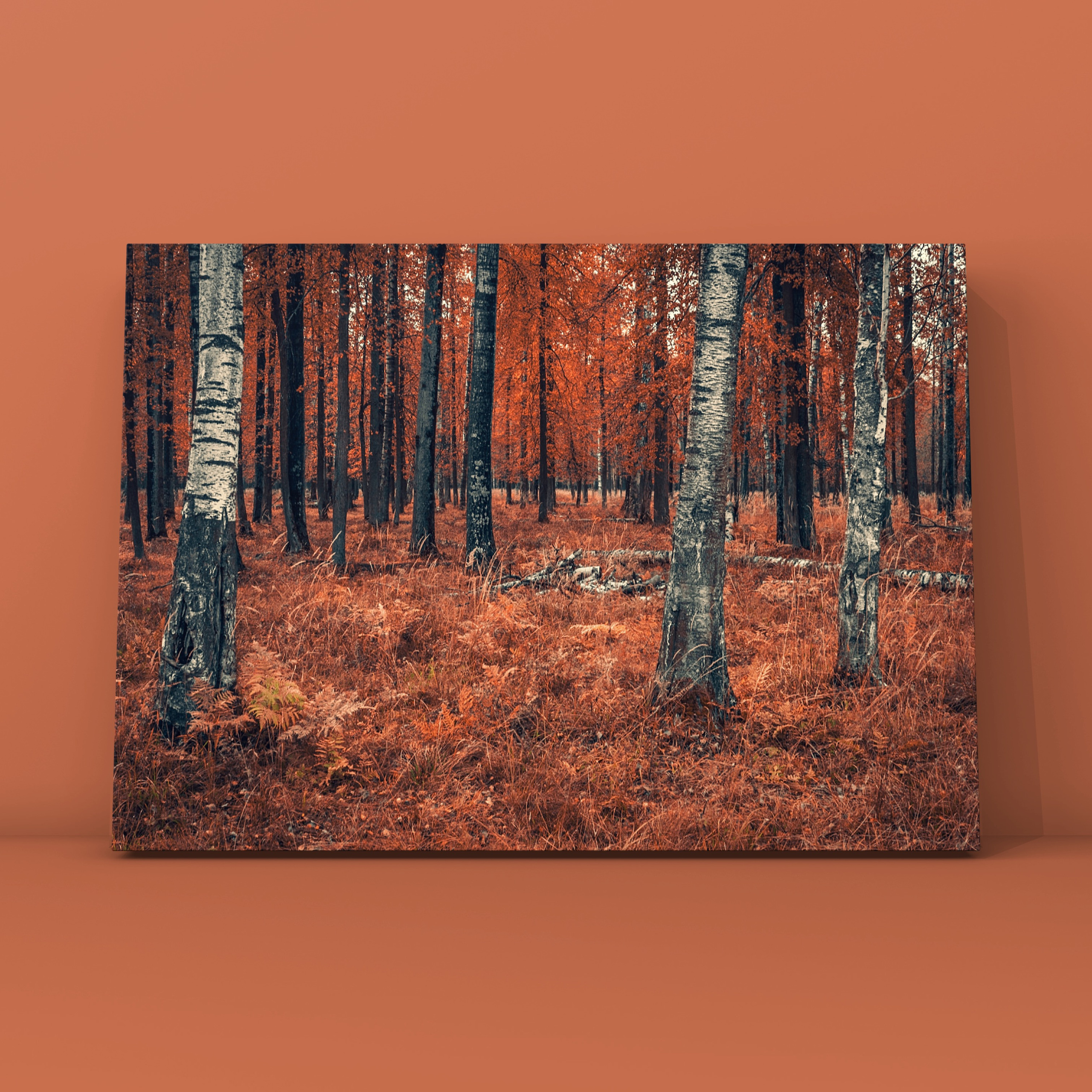 Природа и пейзаж. Фотограф в Москве Сергей Коршунов