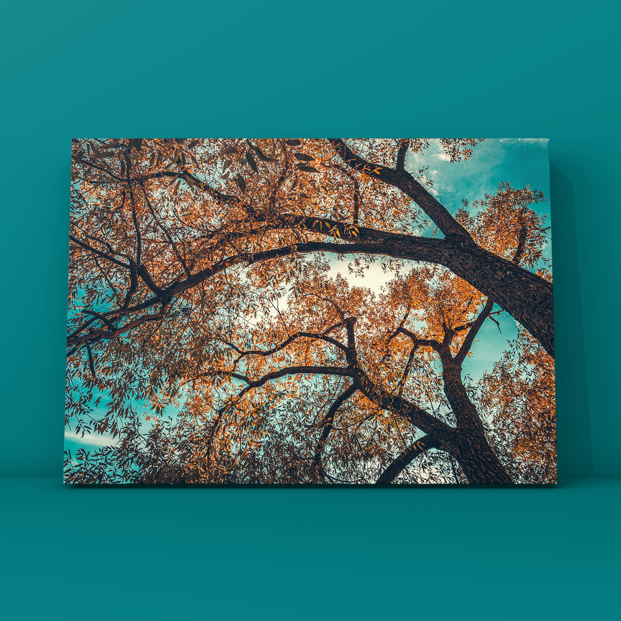 Природа и пейзаж. Фотограф в Москве Сергей Коршунов